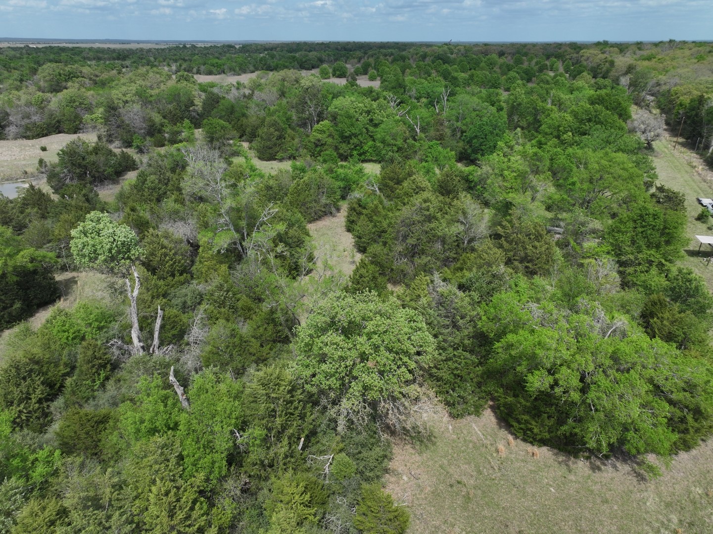 Tbd Mitchell Road Kosse TX 76653