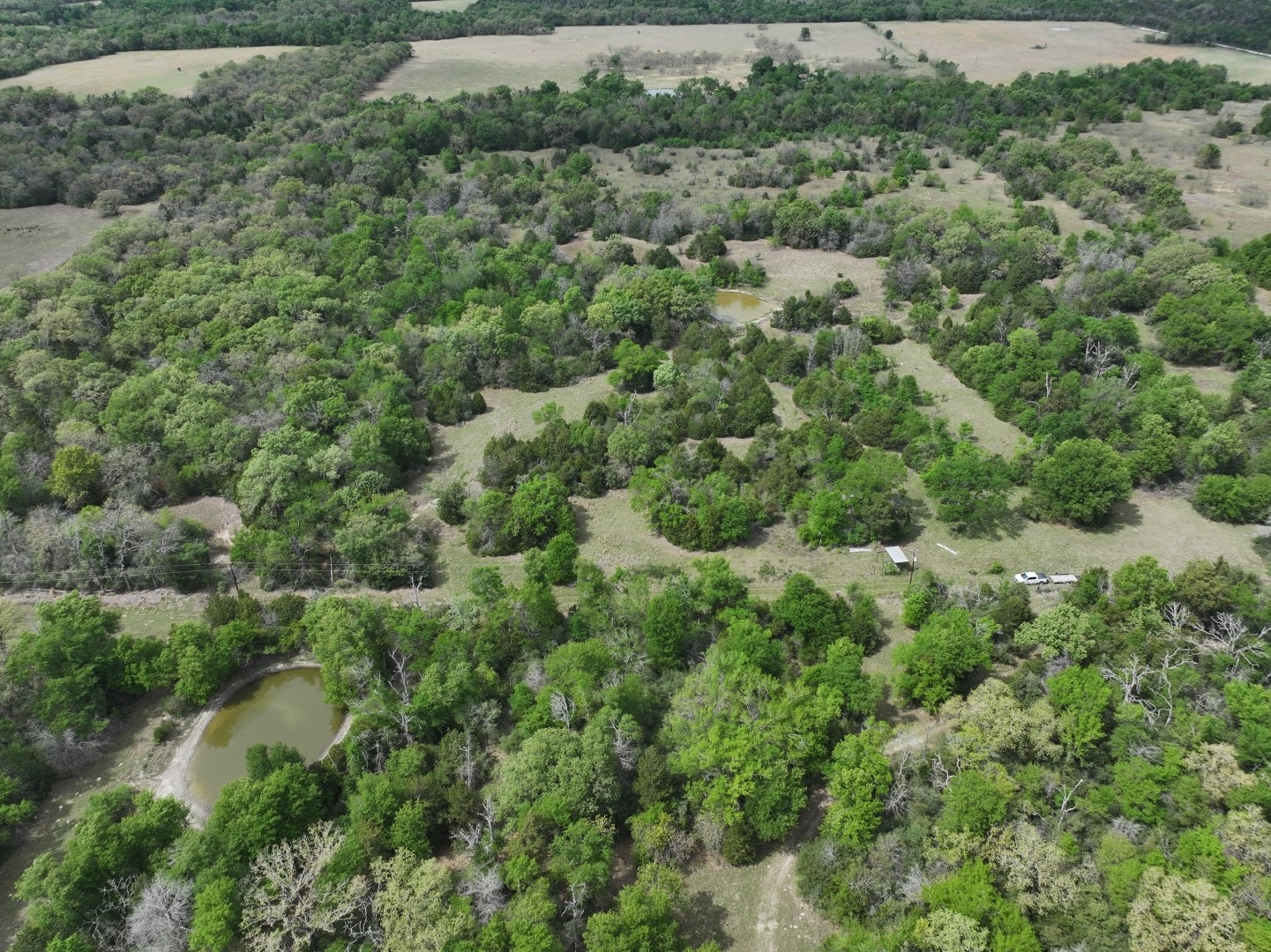 Tbd Mitchell Road Kosse TX 76653