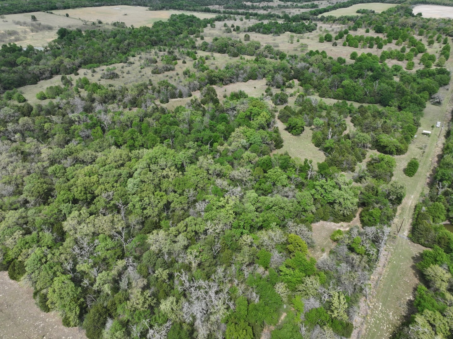 Tbd Mitchell Road Kosse TX 76653