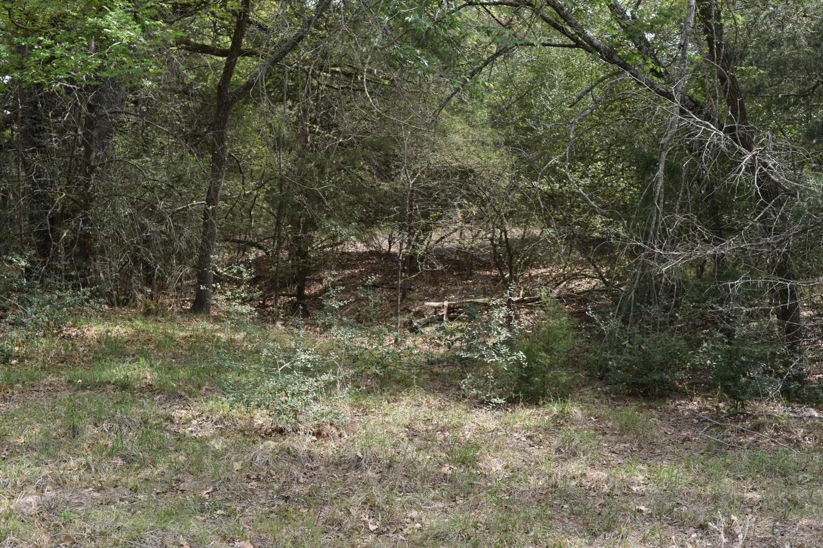 Tbd Mitchell Road Kosse TX 76653