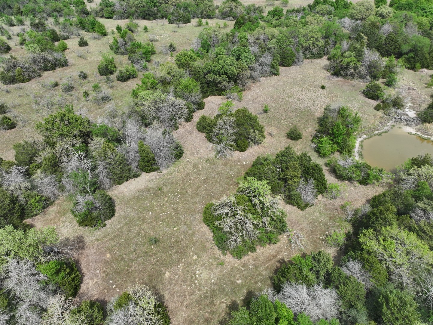 Tbd Mitchell Road Kosse TX 76653