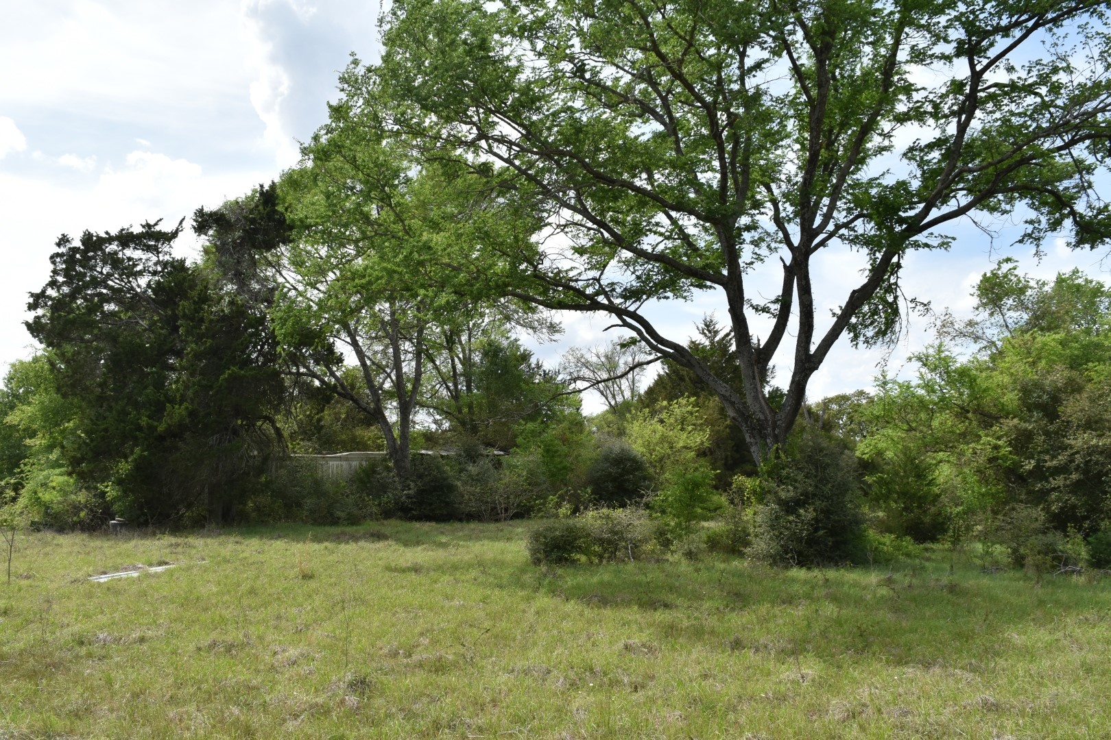 Tbd Mitchell Road Kosse TX 76653