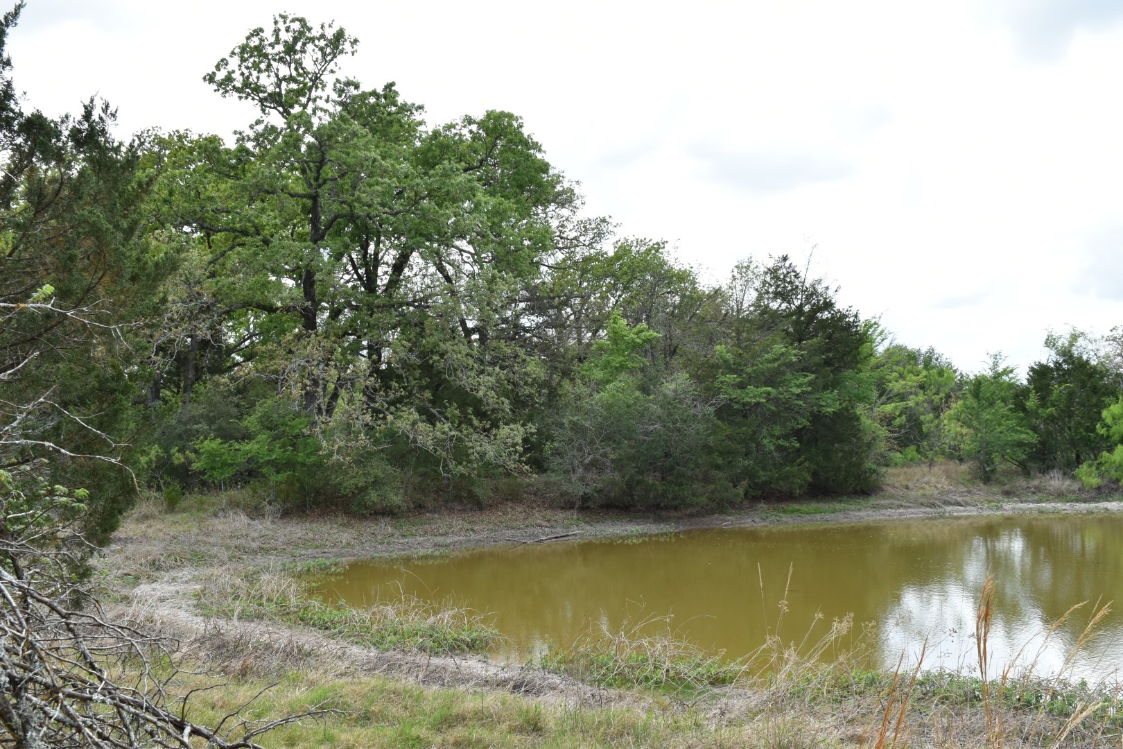 Tbd Mitchell Road Kosse TX 76653