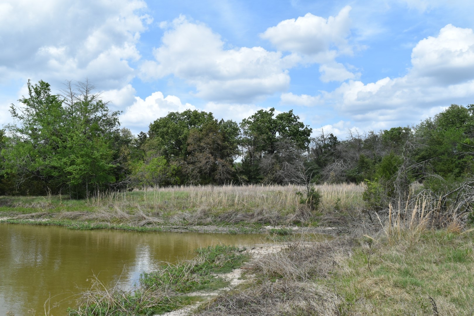 Tbd Mitchell Road Kosse TX 76653