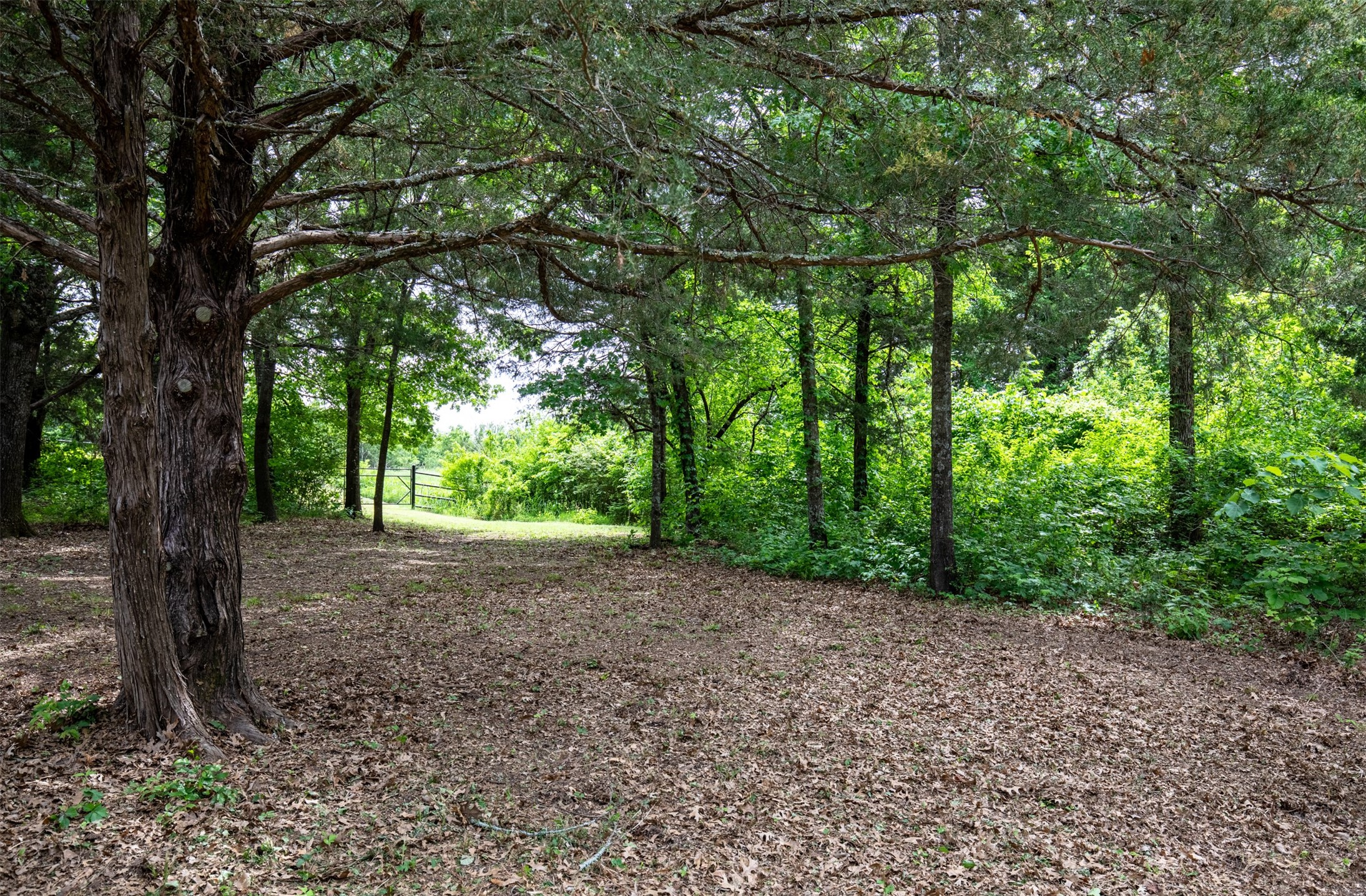 Tbd County Road 663 Farmersville TX 75442