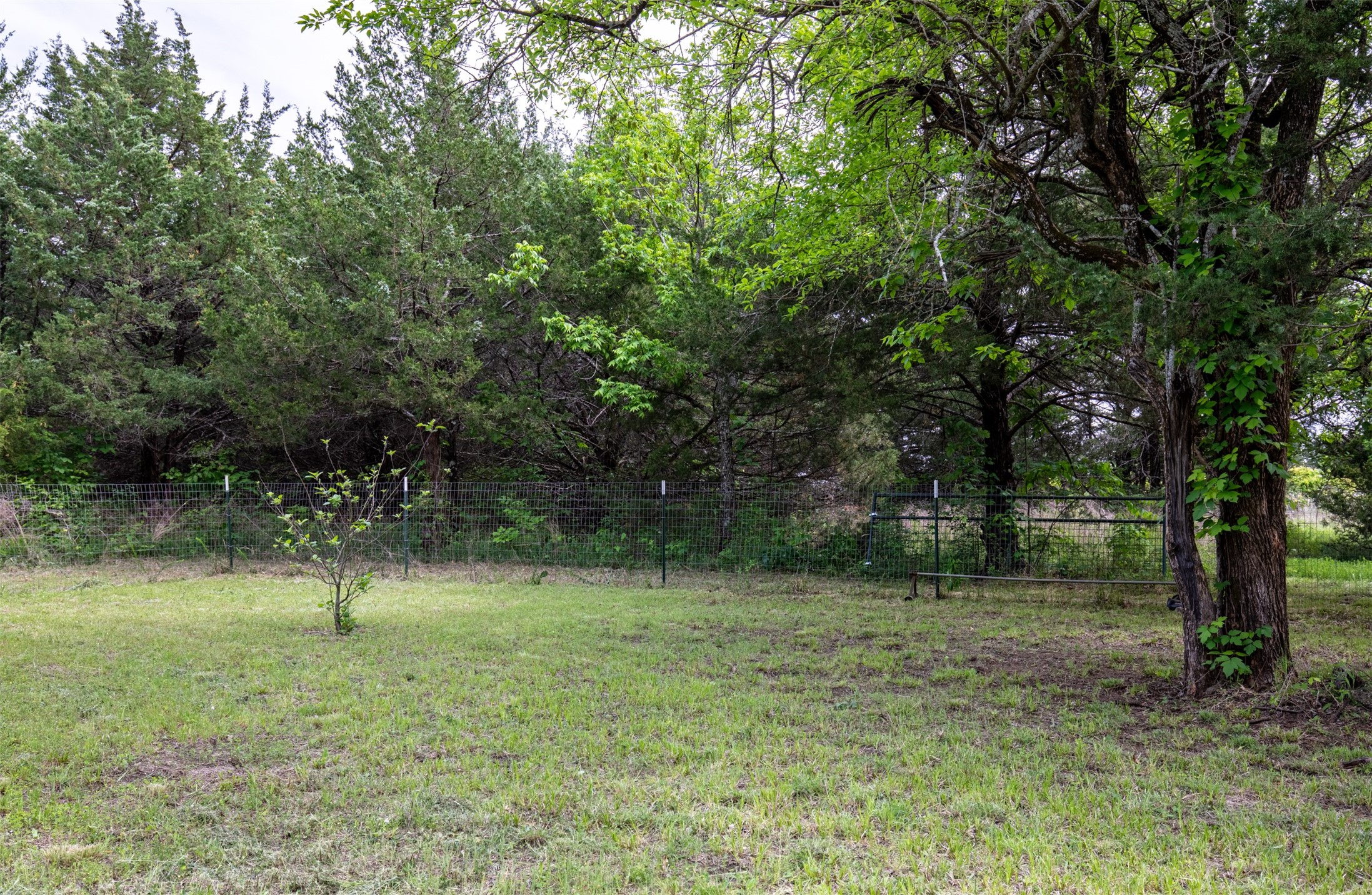 Tbd County Road 663 Farmersville TX 75442