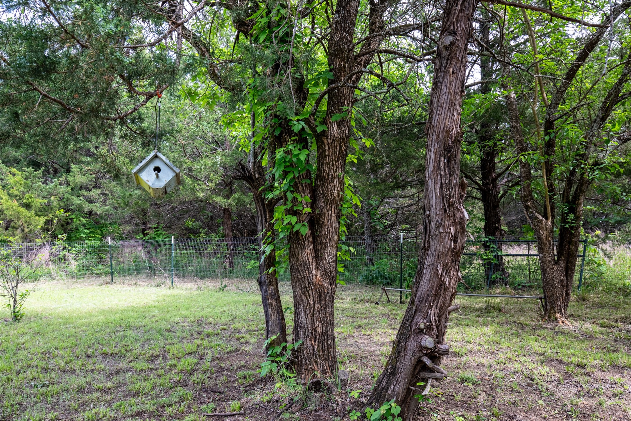 Tbd County Road 663 Farmersville TX 75442