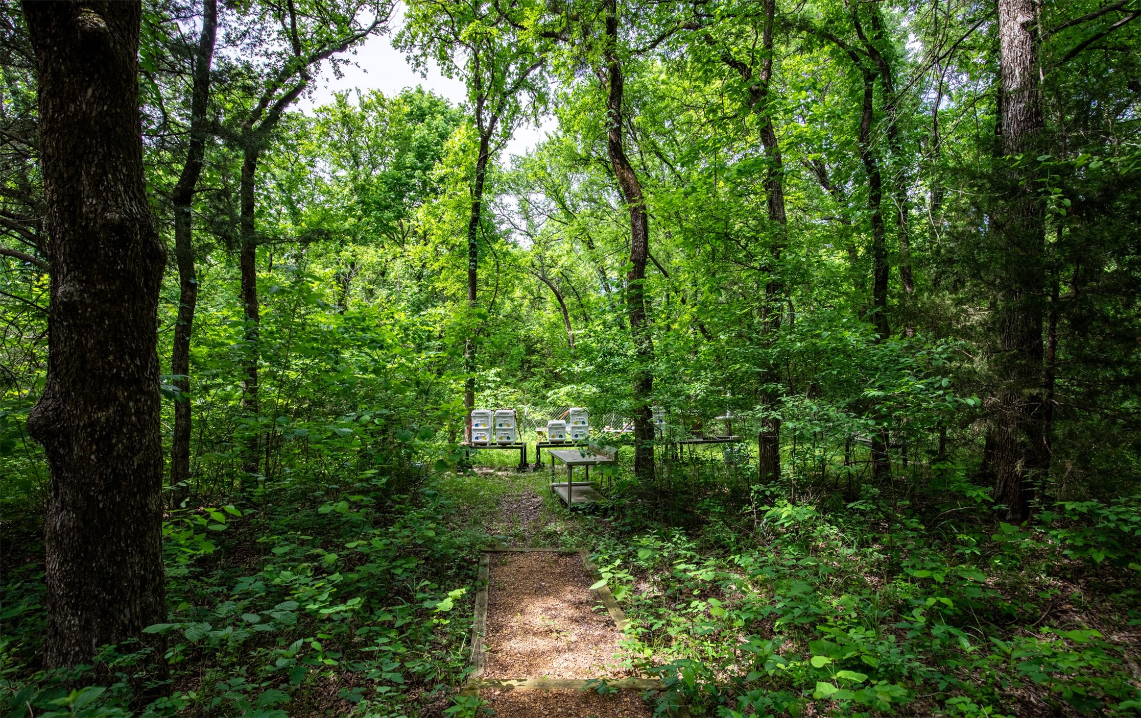Tbd County Road 663 Farmersville TX 75442