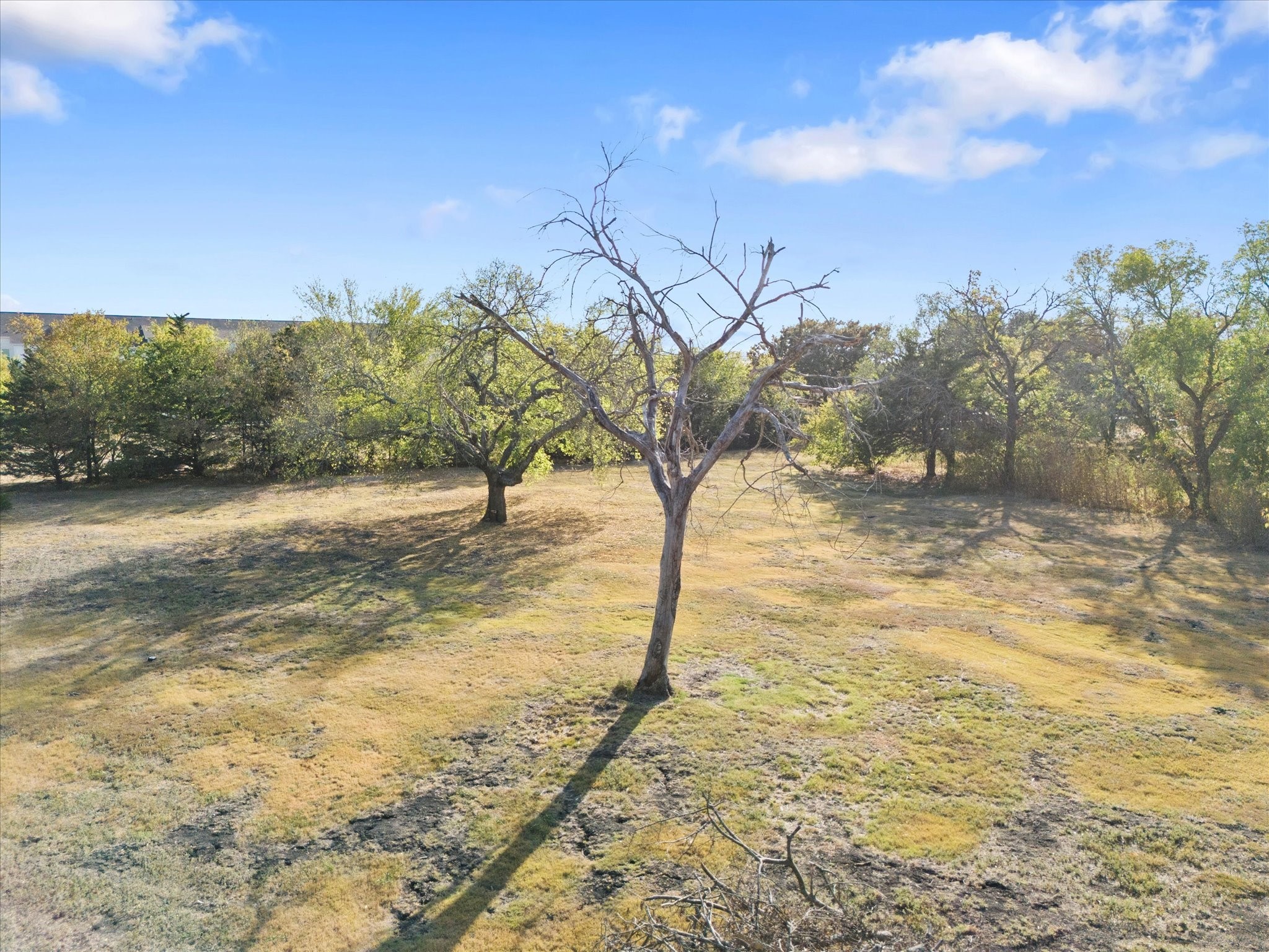 00 E Cherry Tree Lane Fate TX 75087