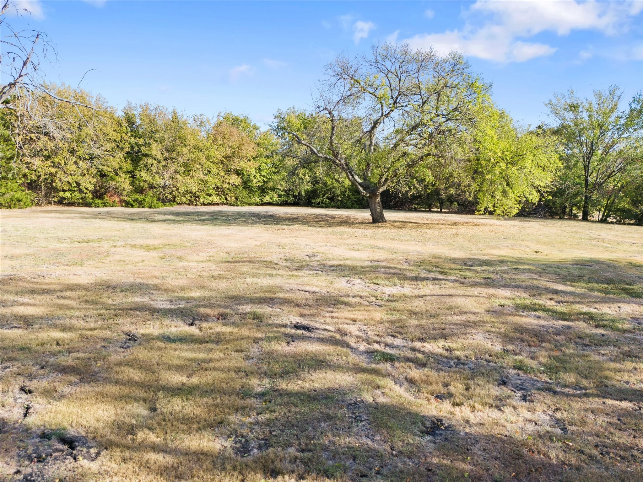 00 E Cherry Tree Lane Fate TX 75087