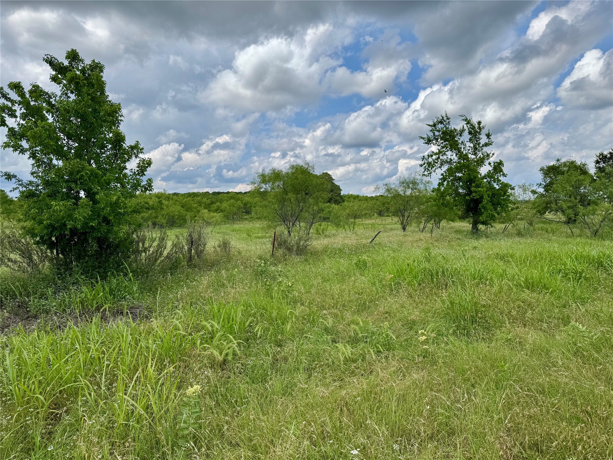 170 Brazos West Drive Mineral Wells TX 76067