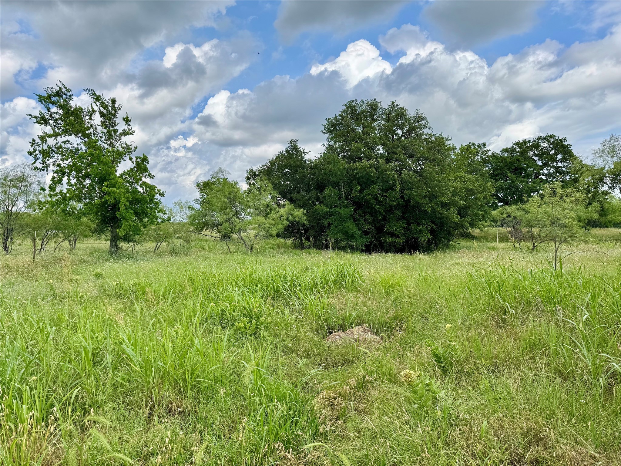 170 Brazos West Drive Mineral Wells TX 76067