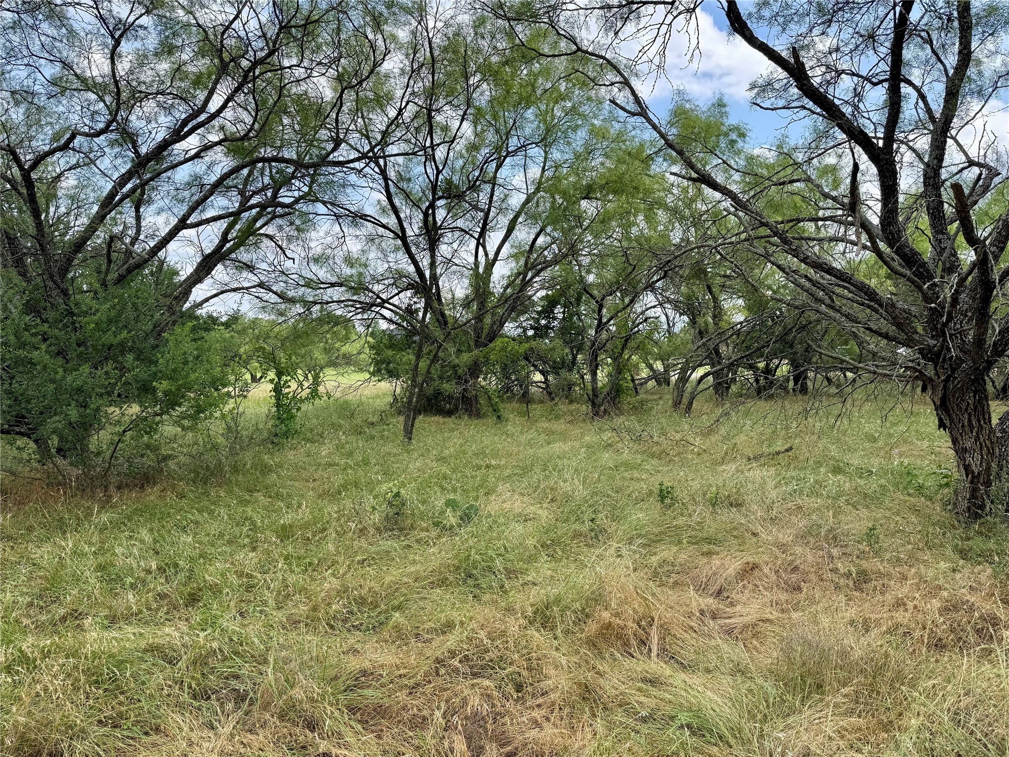 170 Brazos West Drive Mineral Wells TX 76067