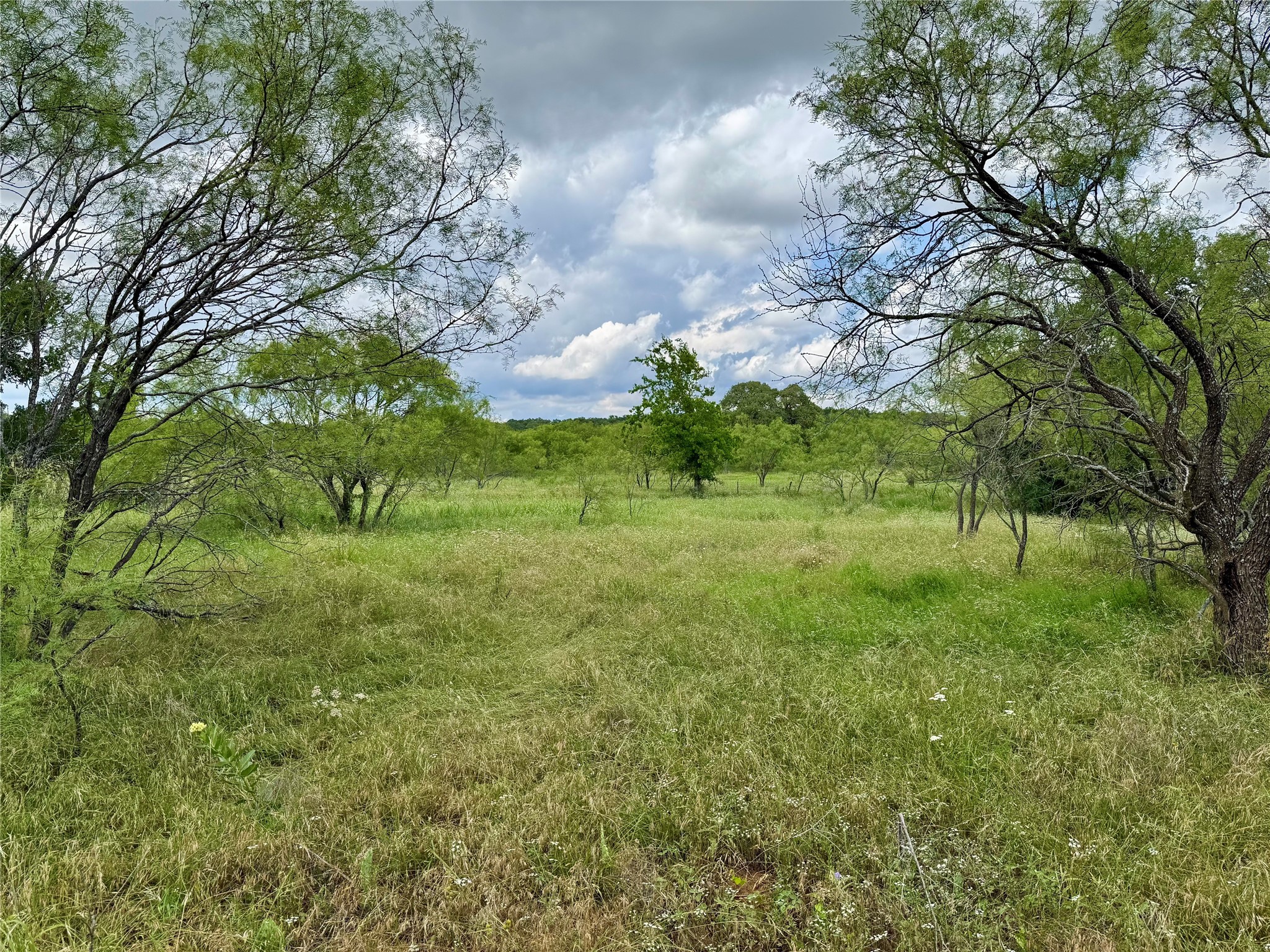 170 Brazos West Drive Mineral Wells TX 76067