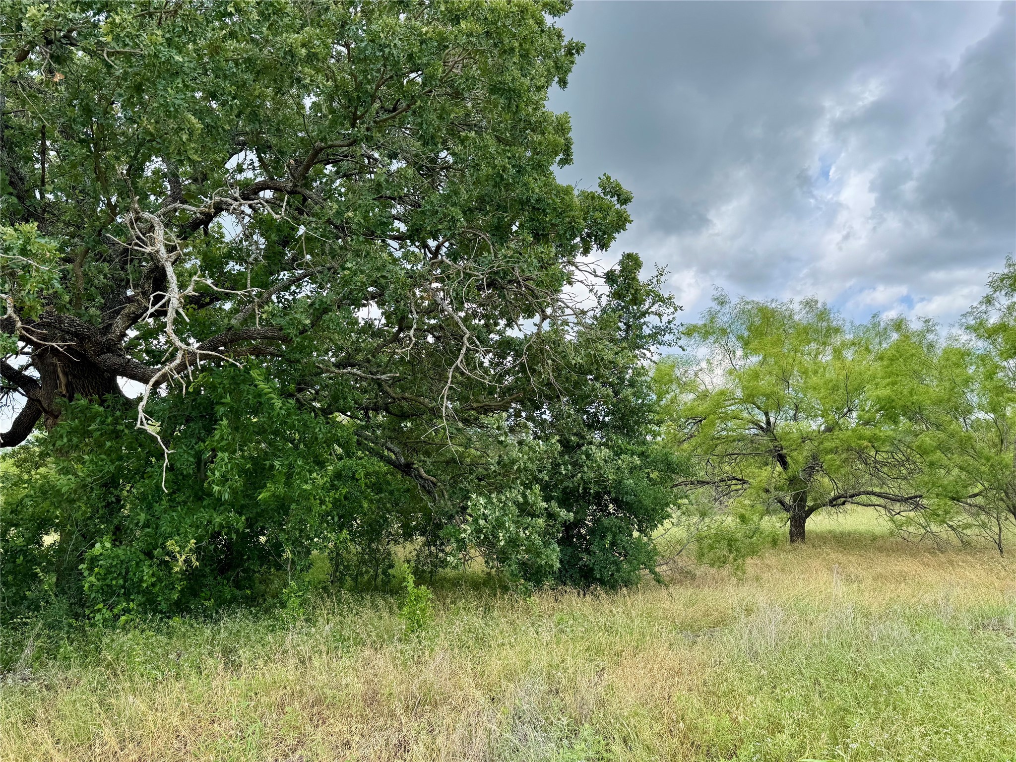 170 Brazos West Drive Mineral Wells TX 76067