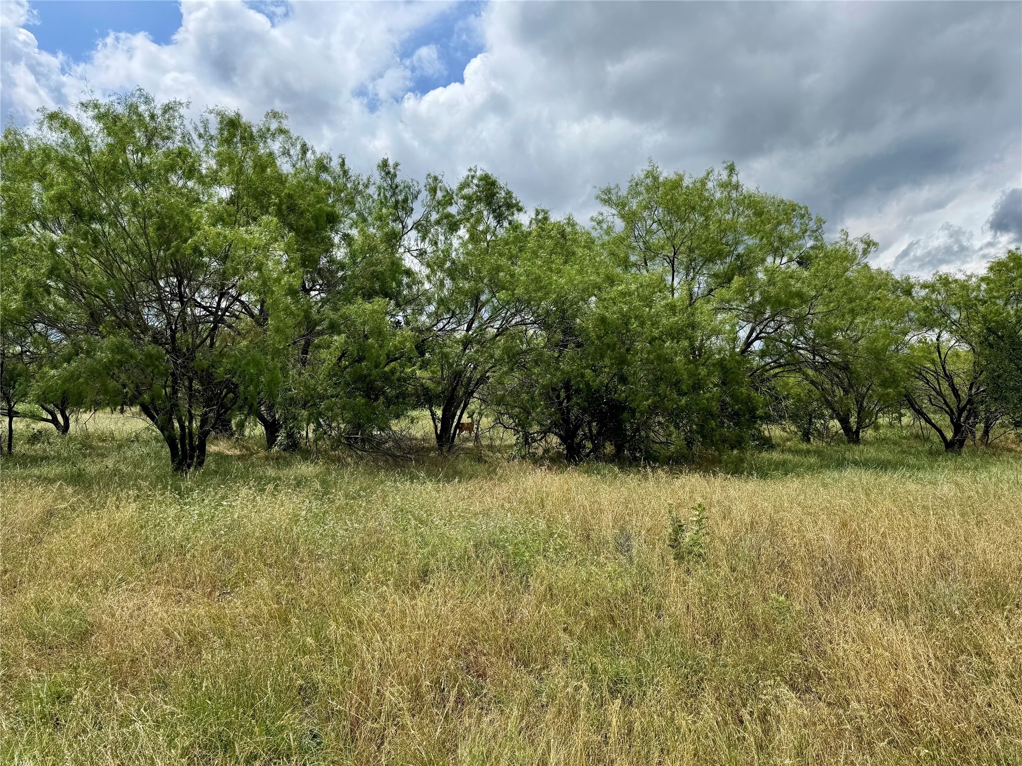 170 Brazos West Drive Mineral Wells TX 76067