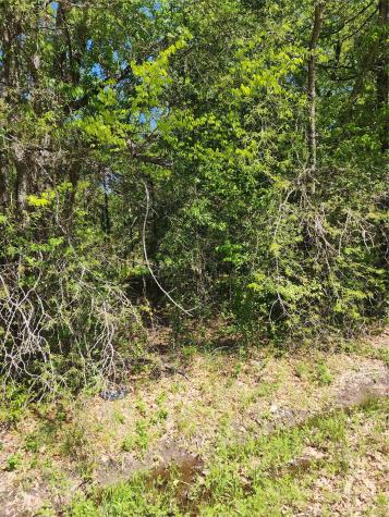 Tbd Lazy Launch Lane Mabank TX 75156