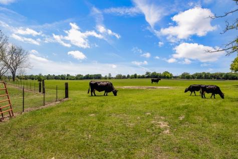 00 Vz County Road 3208 Wills Point TX 75169
