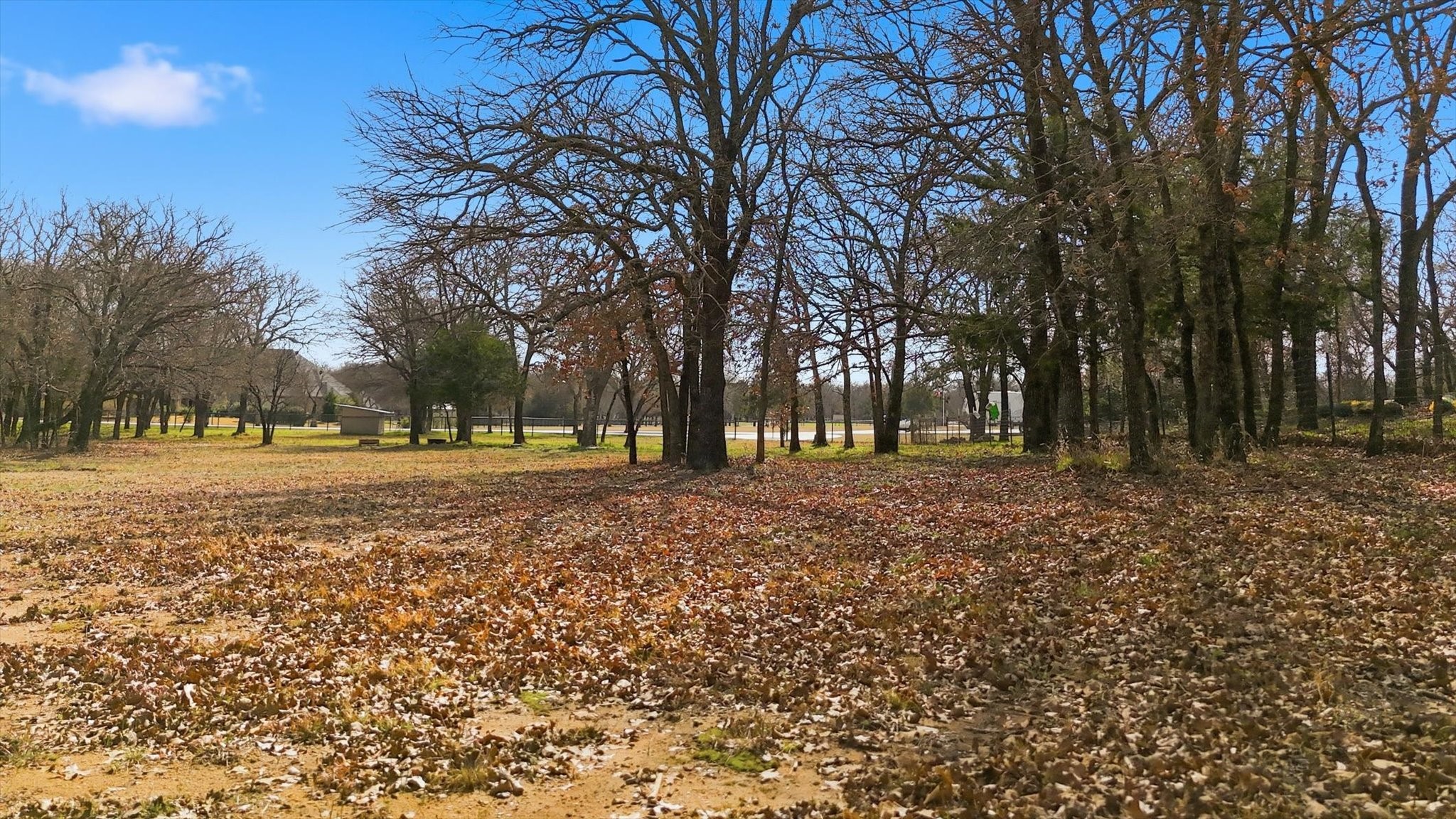 776 Orchid Hill Lane Copper Canyon TX 76226