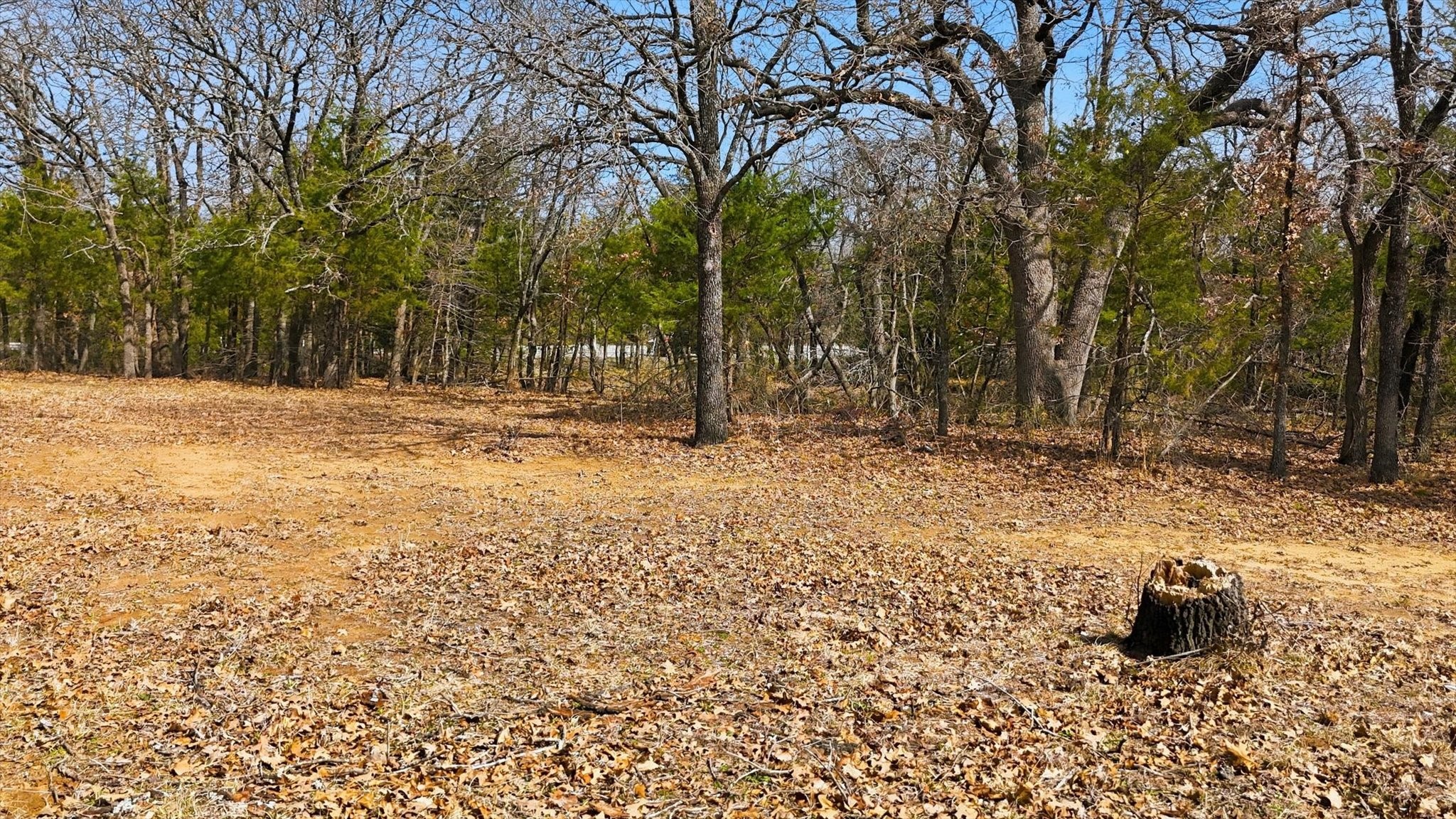 776 Orchid Hill Lane Copper Canyon TX 76226