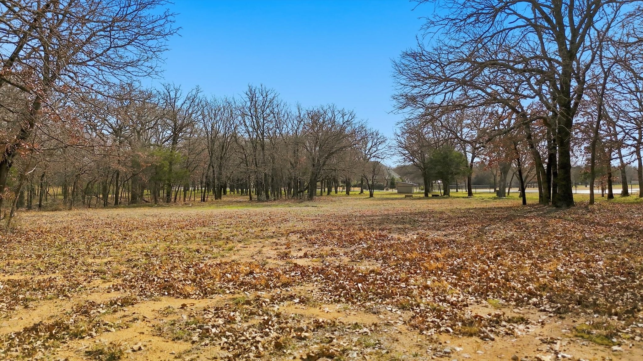 776 Orchid Hill Lane Copper Canyon TX 76226