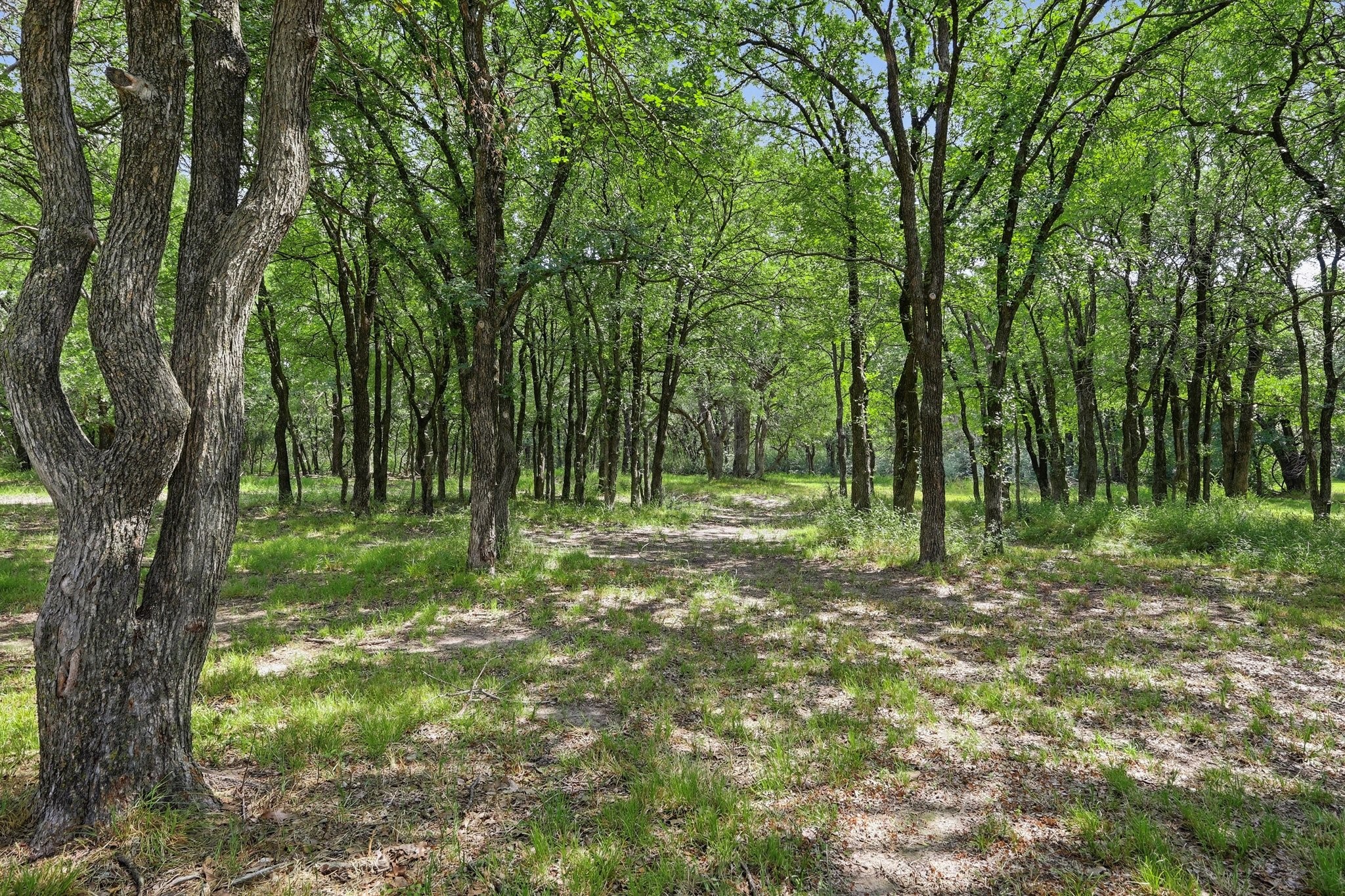 776 Orchid Hill Lane Copper Canyon TX 76226