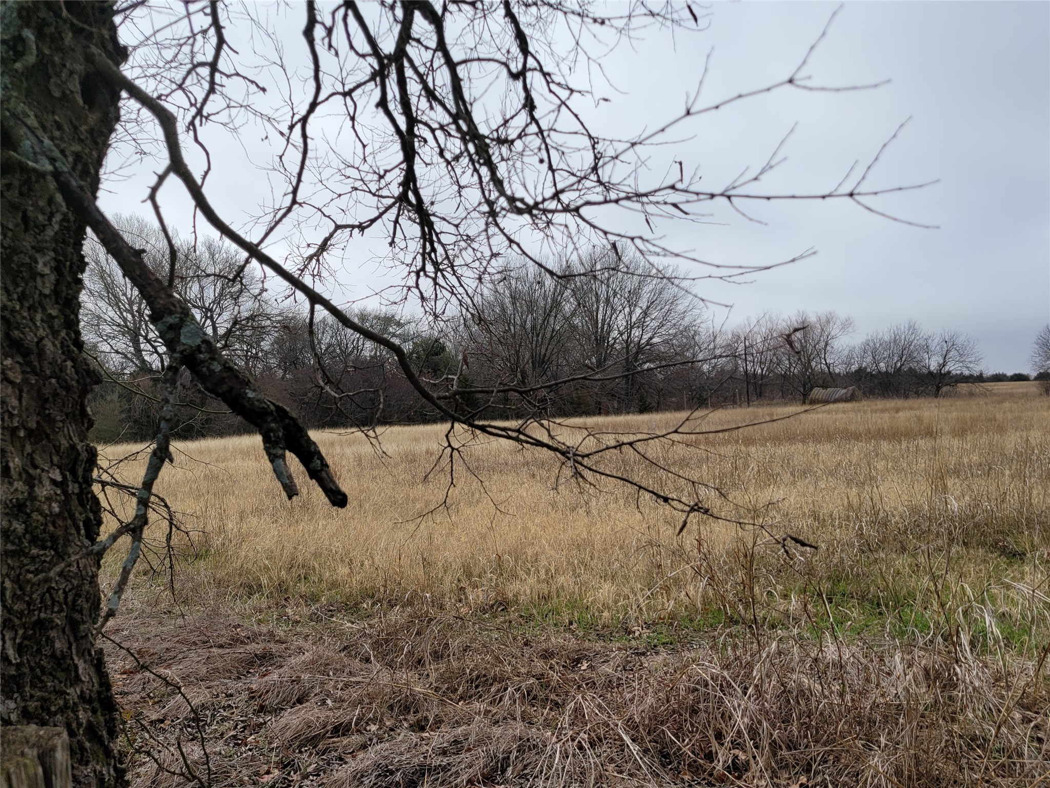 2232 County Road 415 Coyote Flats TX 76031