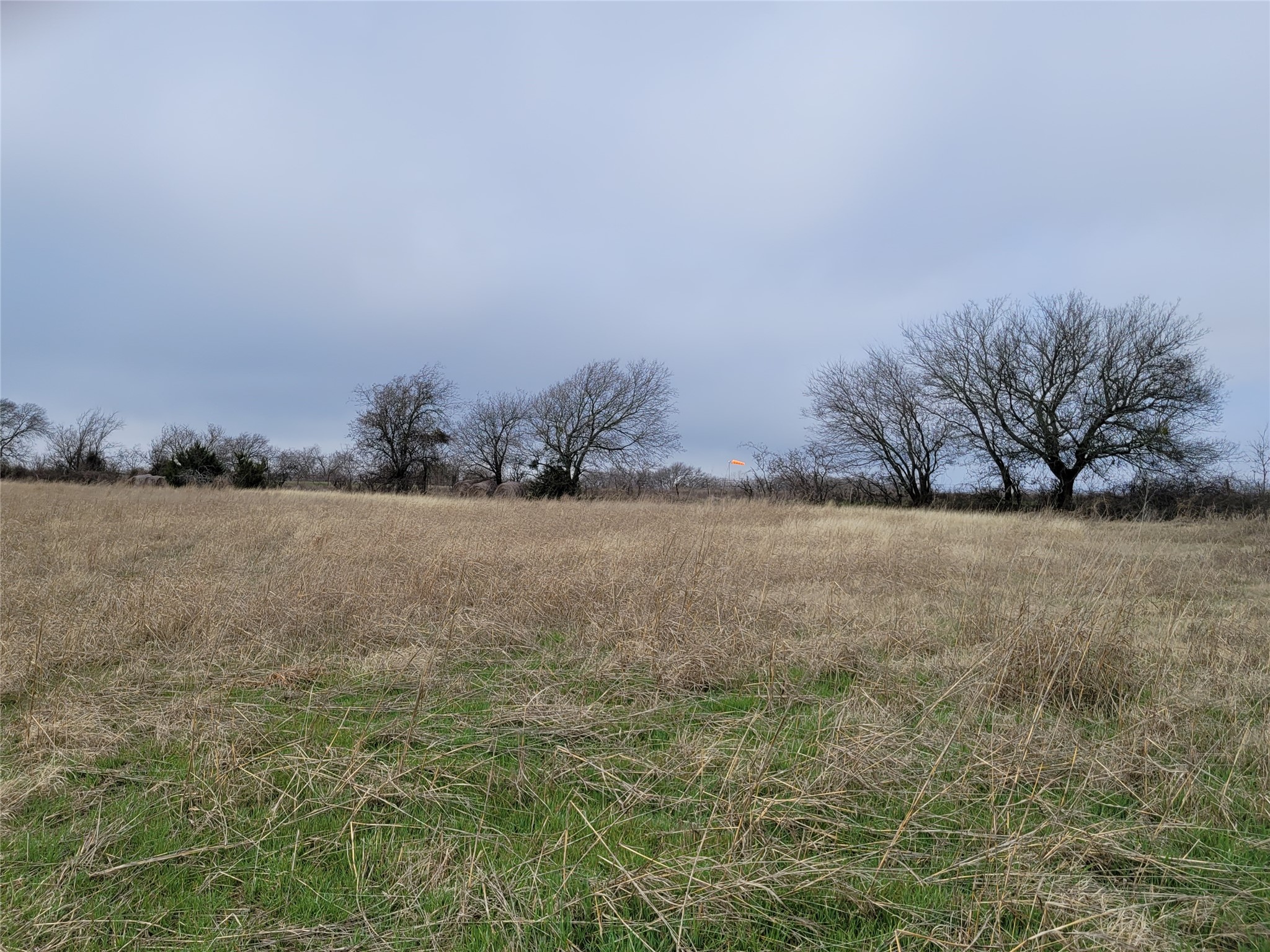 2232 County Road 415 Coyote Flats TX 76031