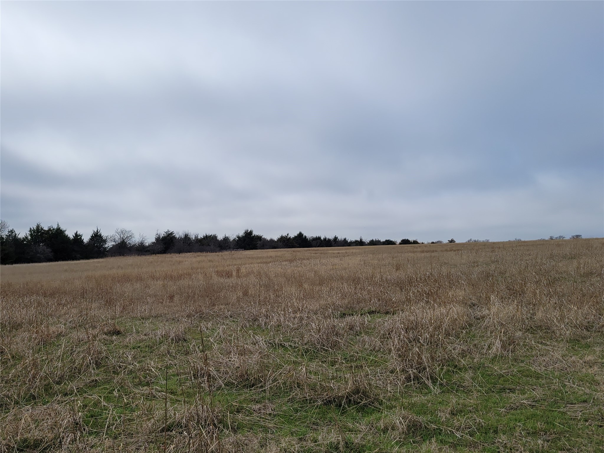 2232 County Road 415 Coyote Flats TX 76031
