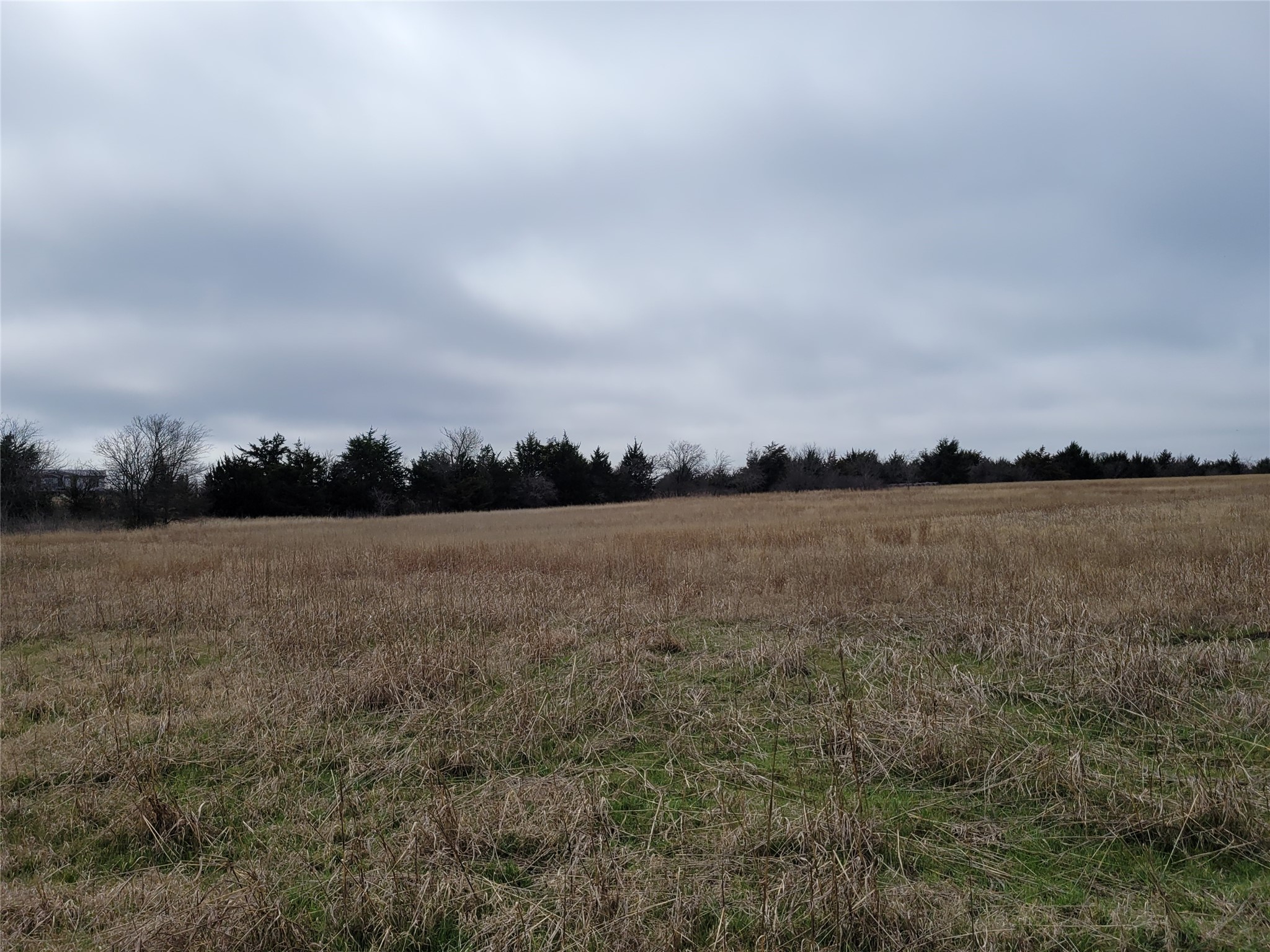 2232 County Road 415 Coyote Flats TX 76031