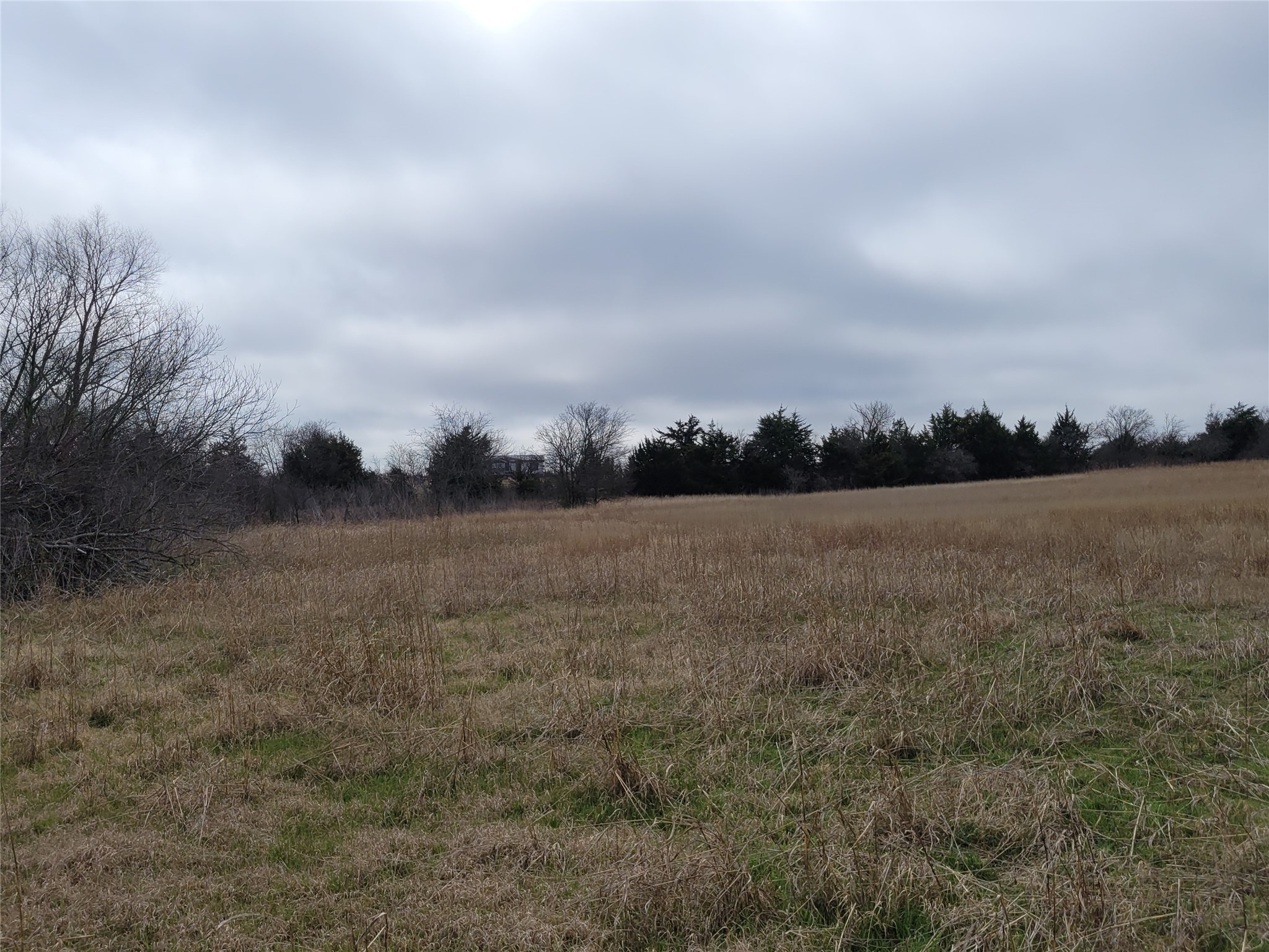 2232 County Road 415 Coyote Flats TX 76031