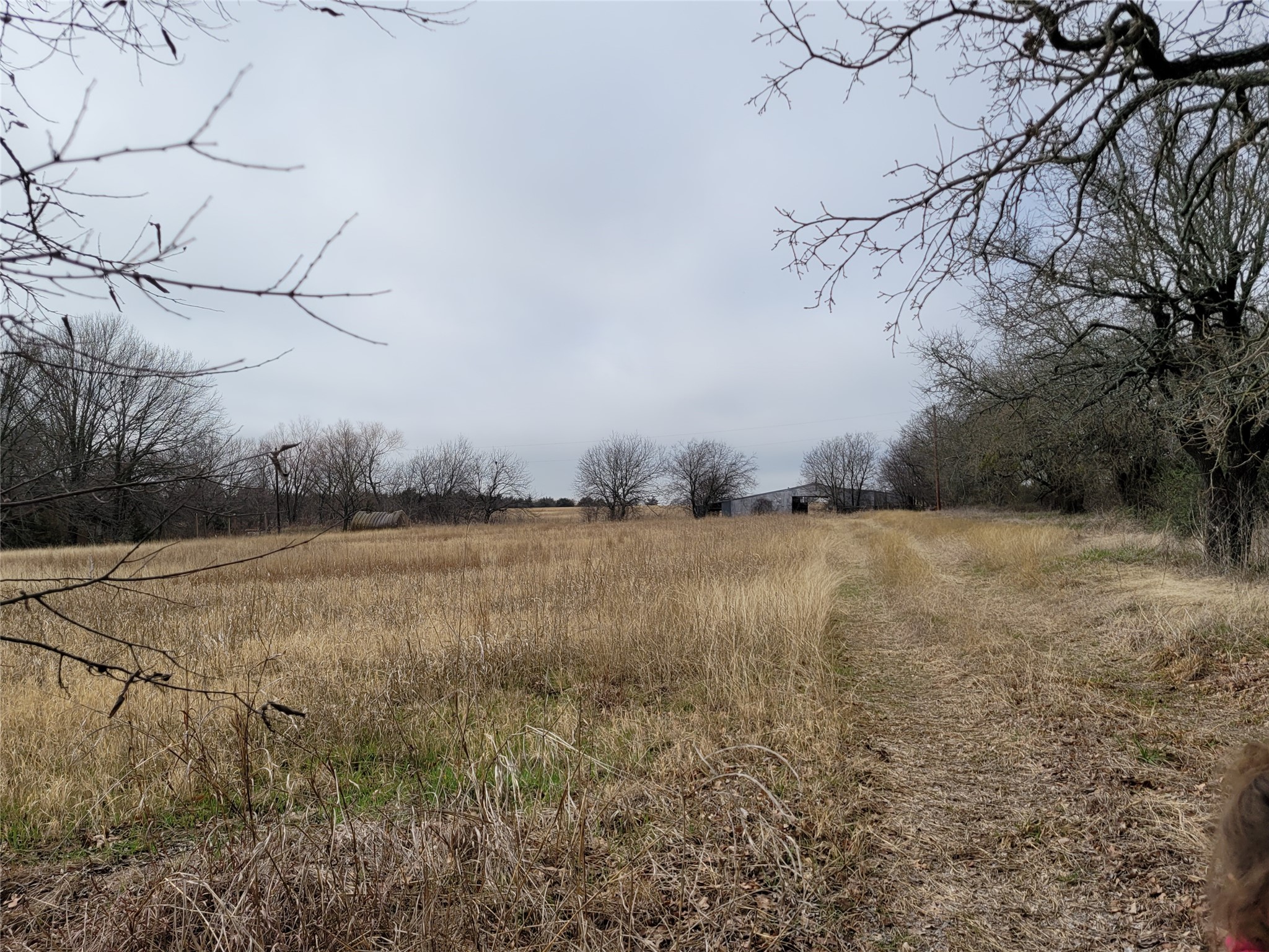 2232 County Road 415 Coyote Flats TX 76031