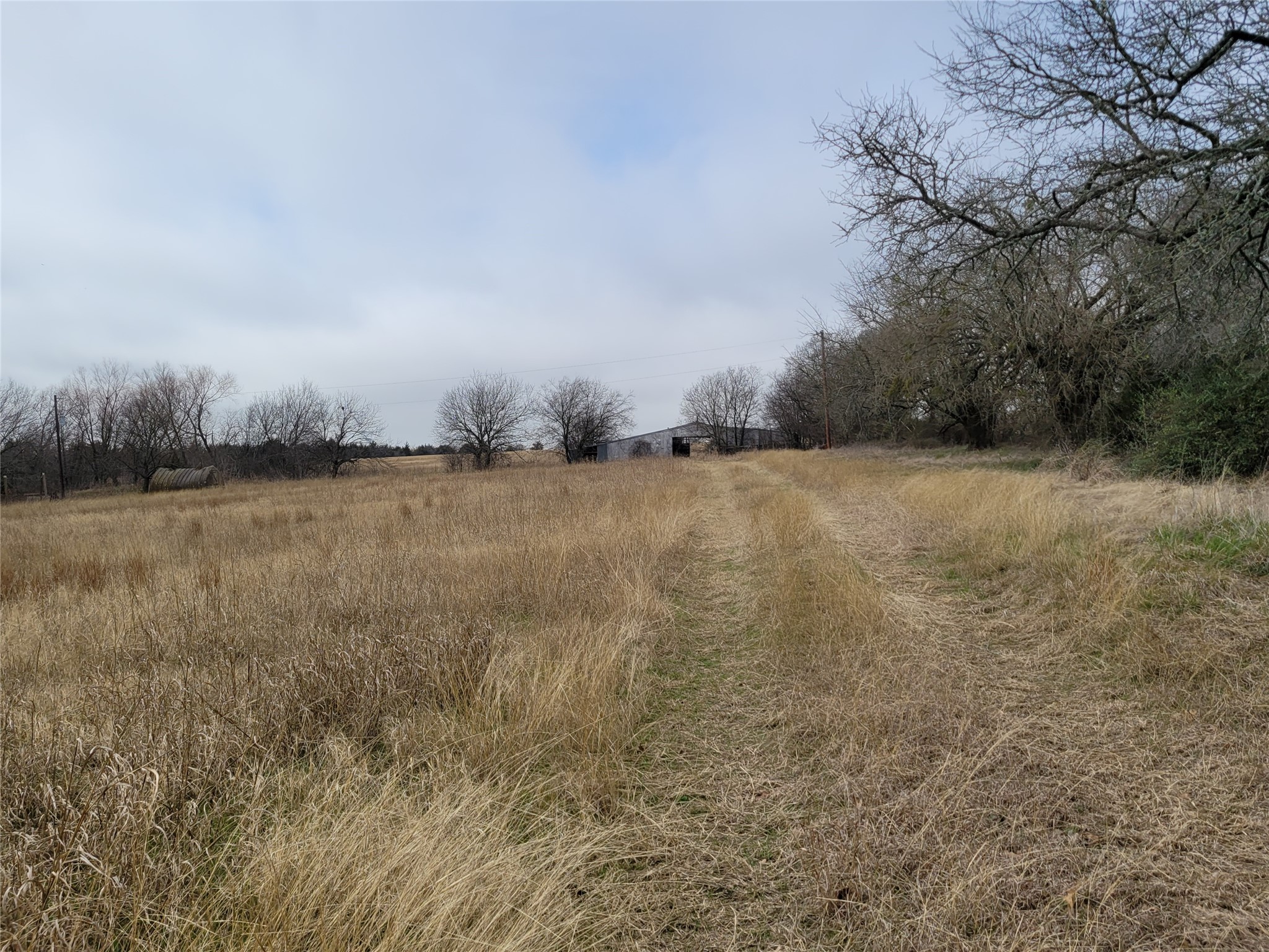 2232 County Road 415 Coyote Flats TX 76031