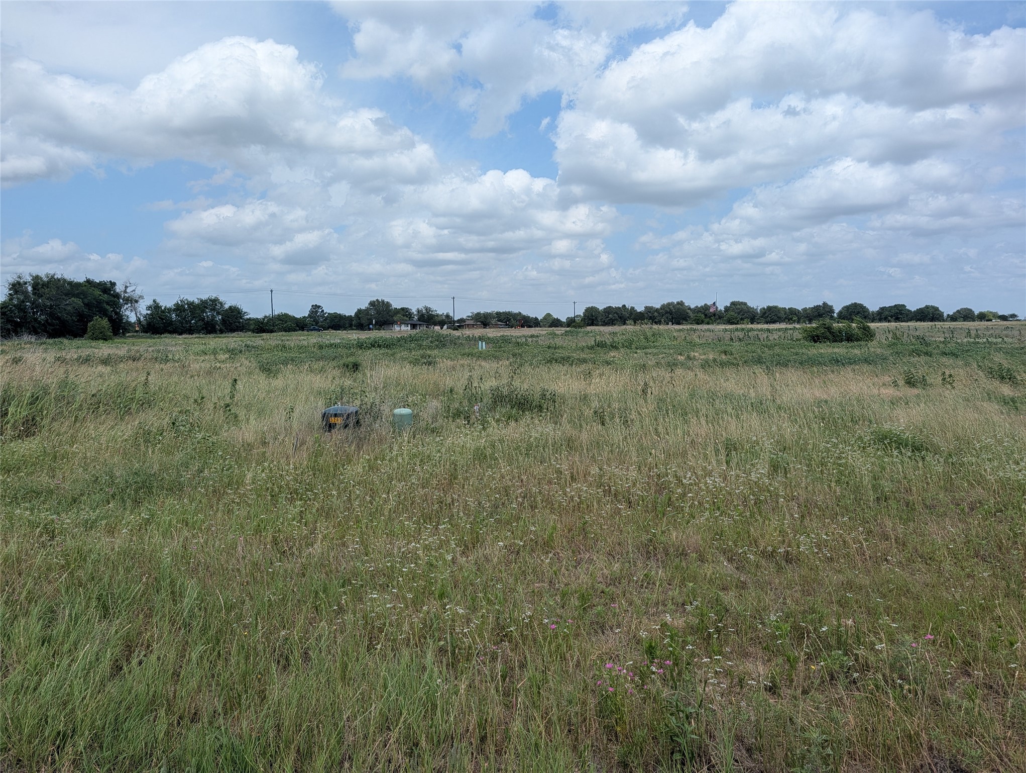 1007 Autumn Trail Mabank TX 75147