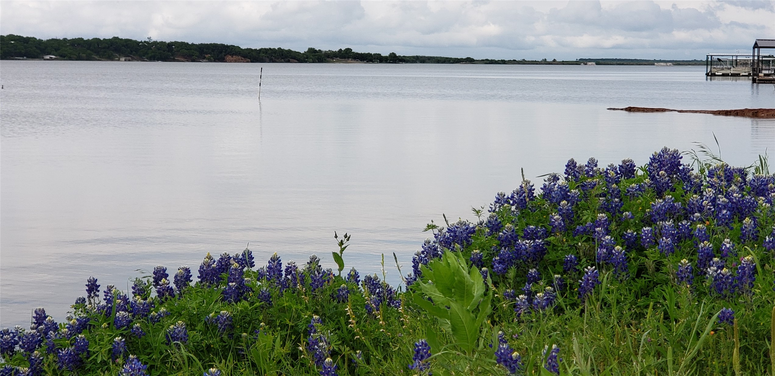 126 Diamond Oaks Drive Nocona TX 76255