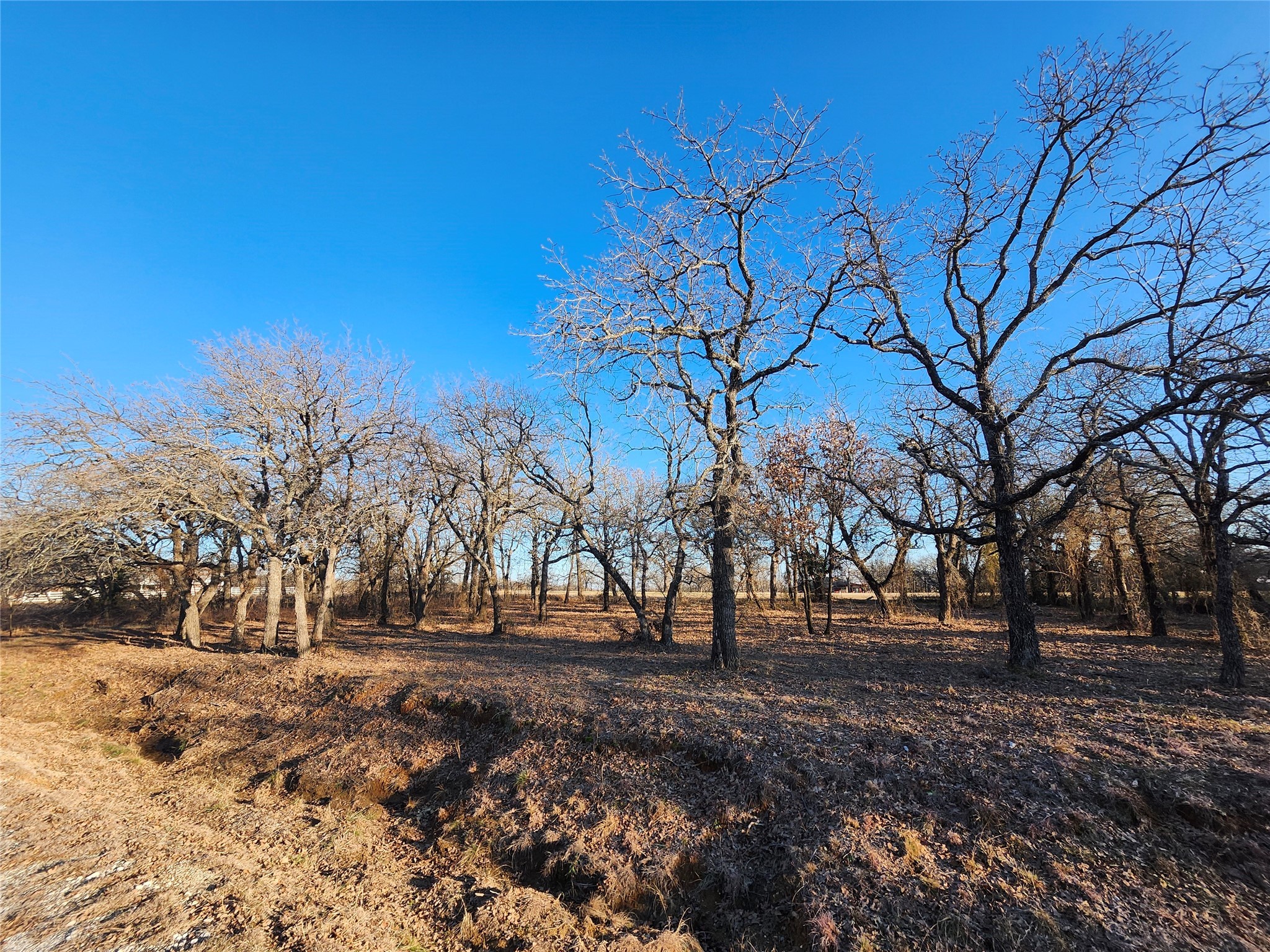 126 Diamond Oaks Drive Nocona TX 76255
