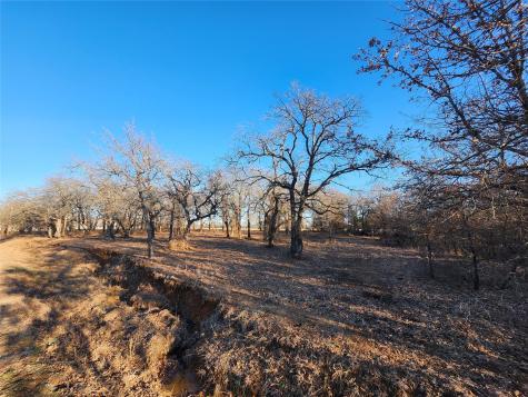 126 Diamond Oaks Drive Nocona TX 76255