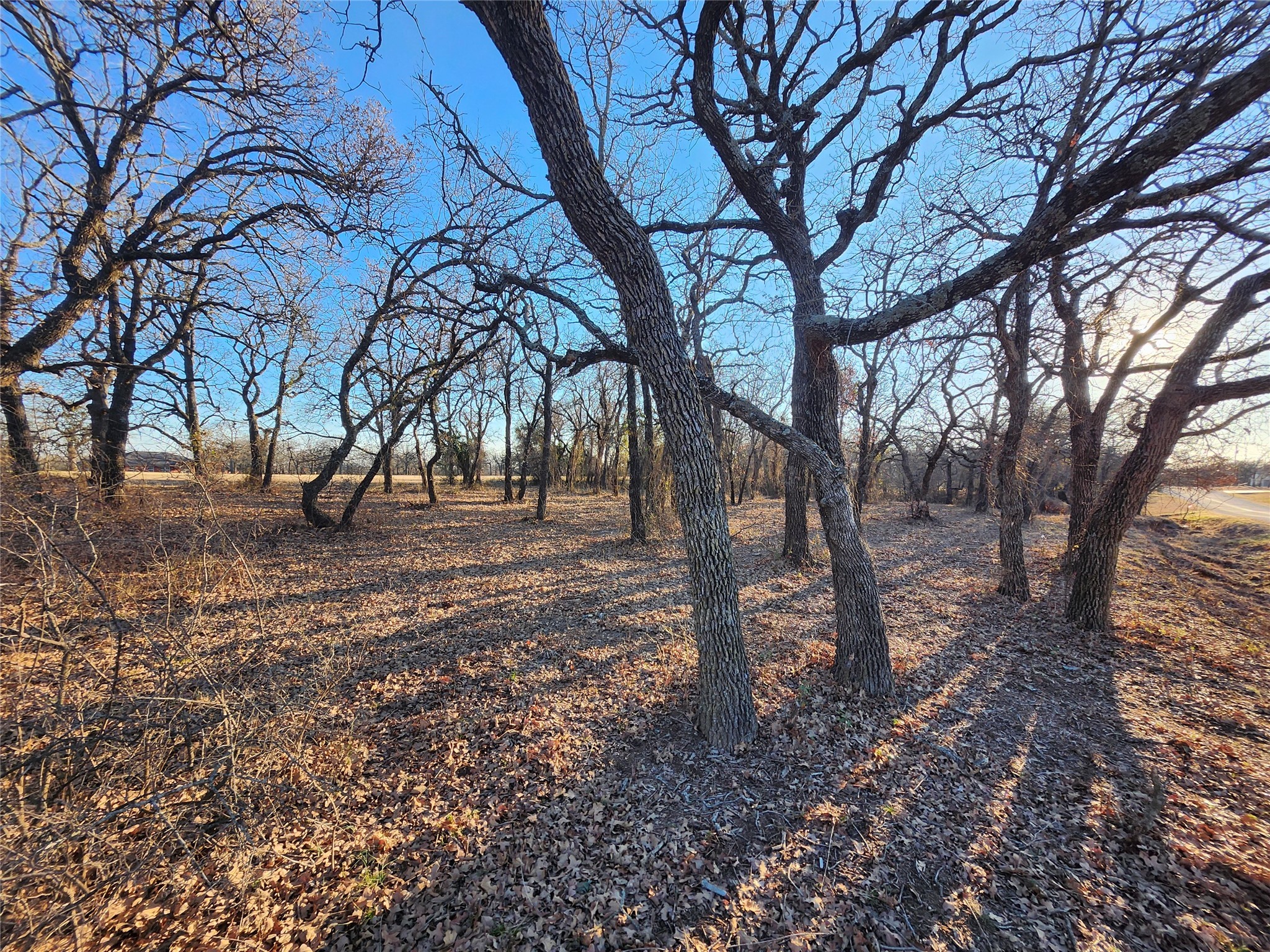 126 Diamond Oaks Drive Nocona TX 76255