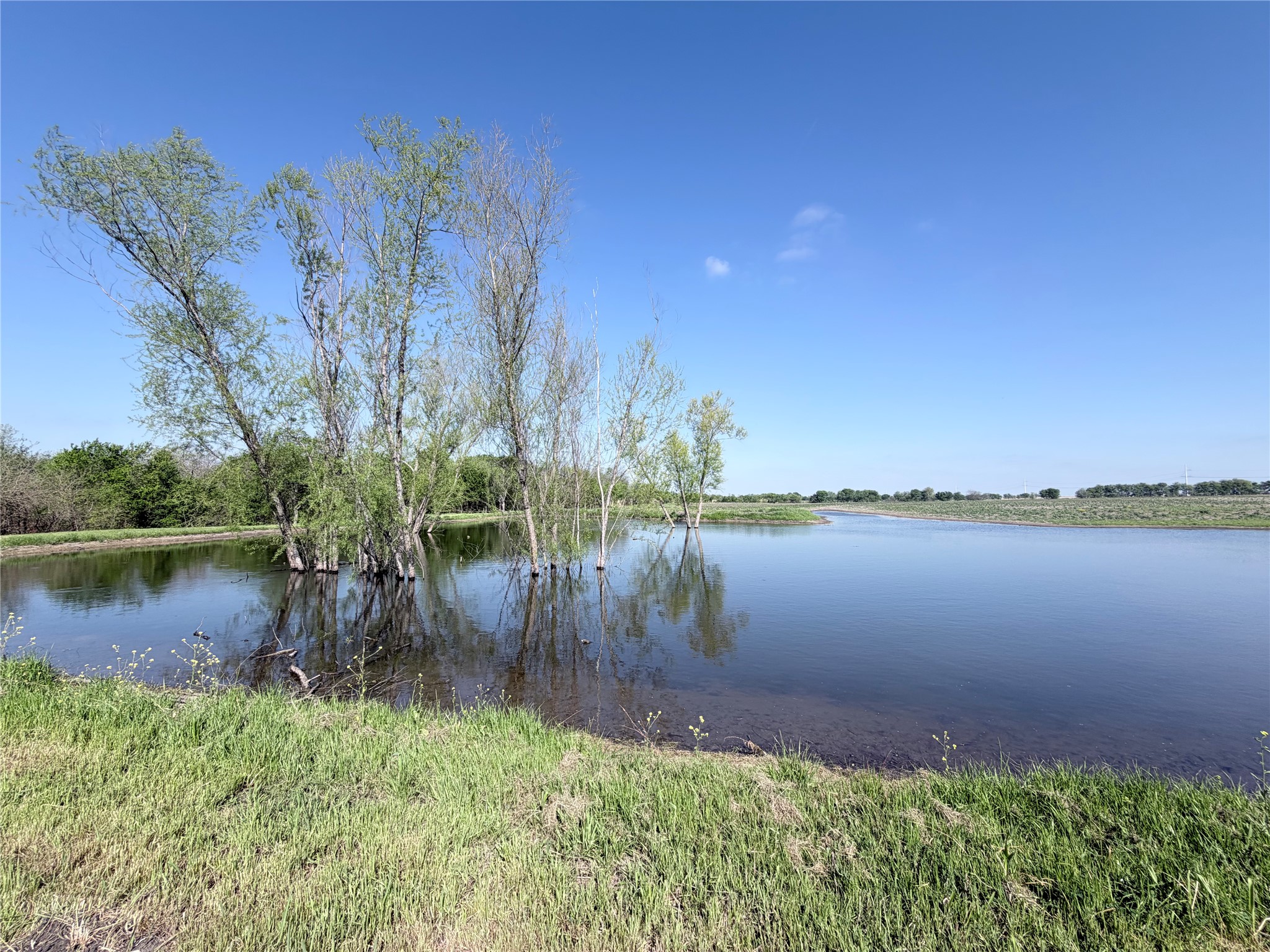 Tbd County Road 3204 Abbott TX 76621