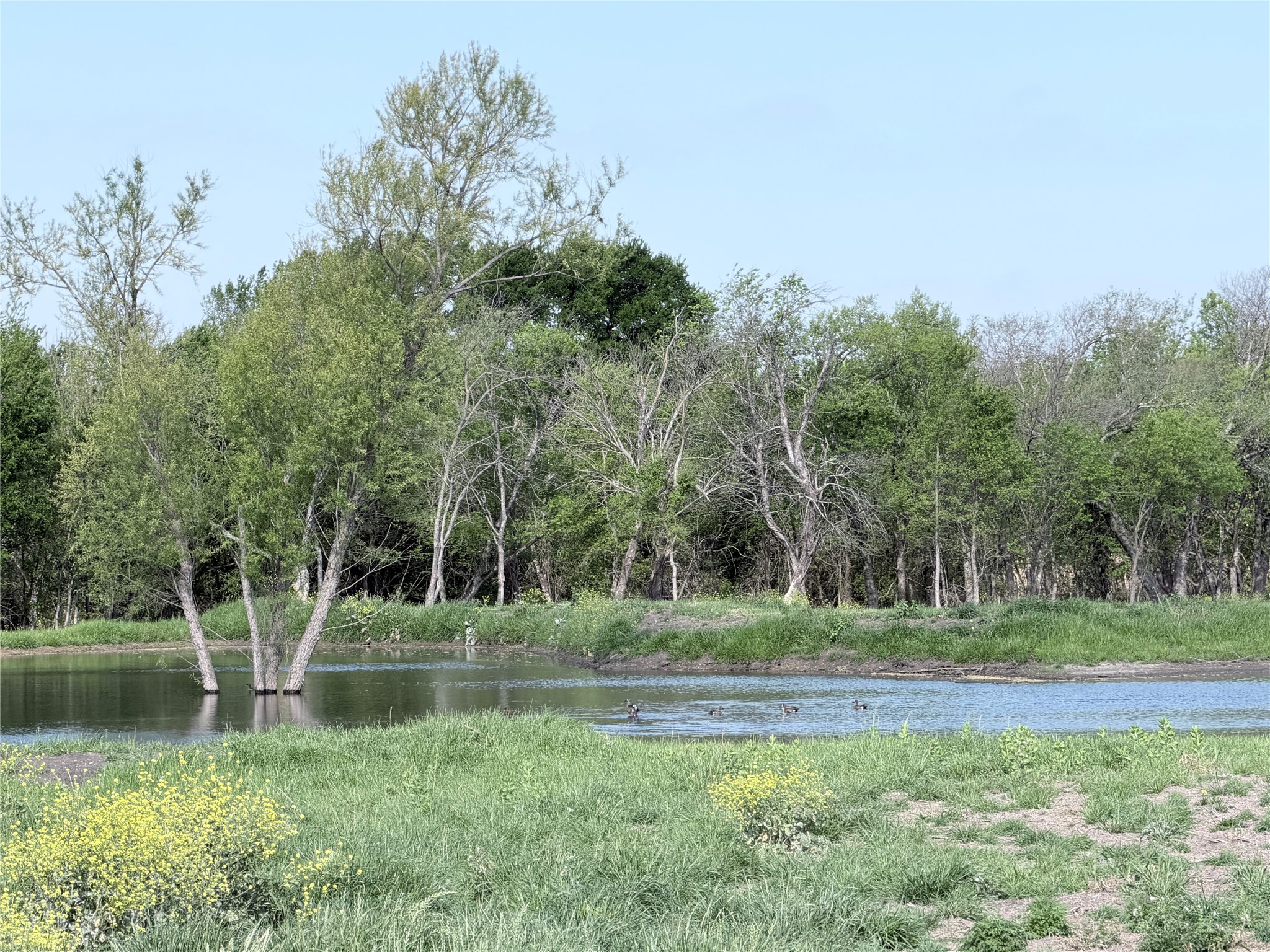Tbd County Road 3204 Abbott TX 76621