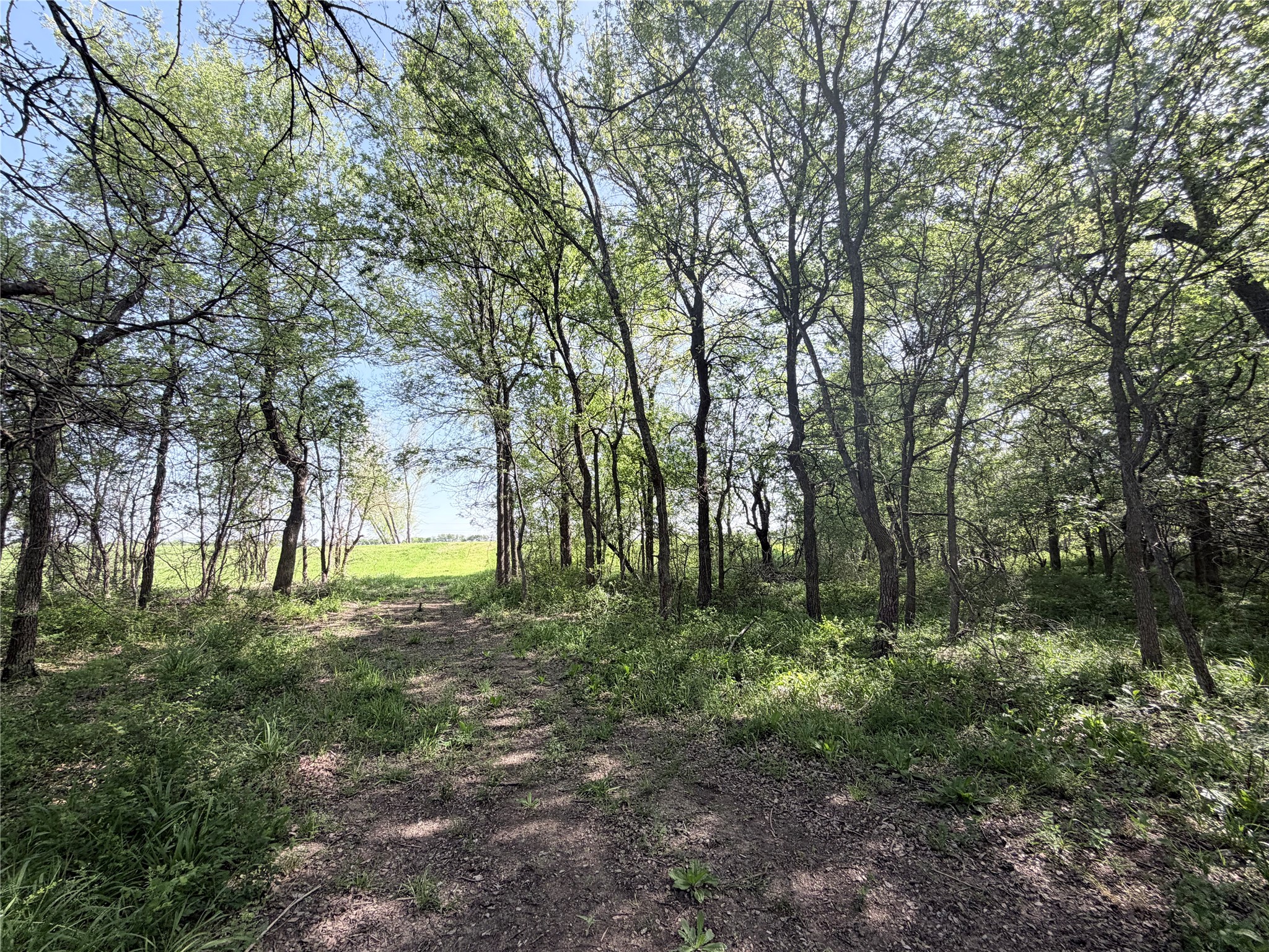Tbd County Road 3204 Abbott TX 76621