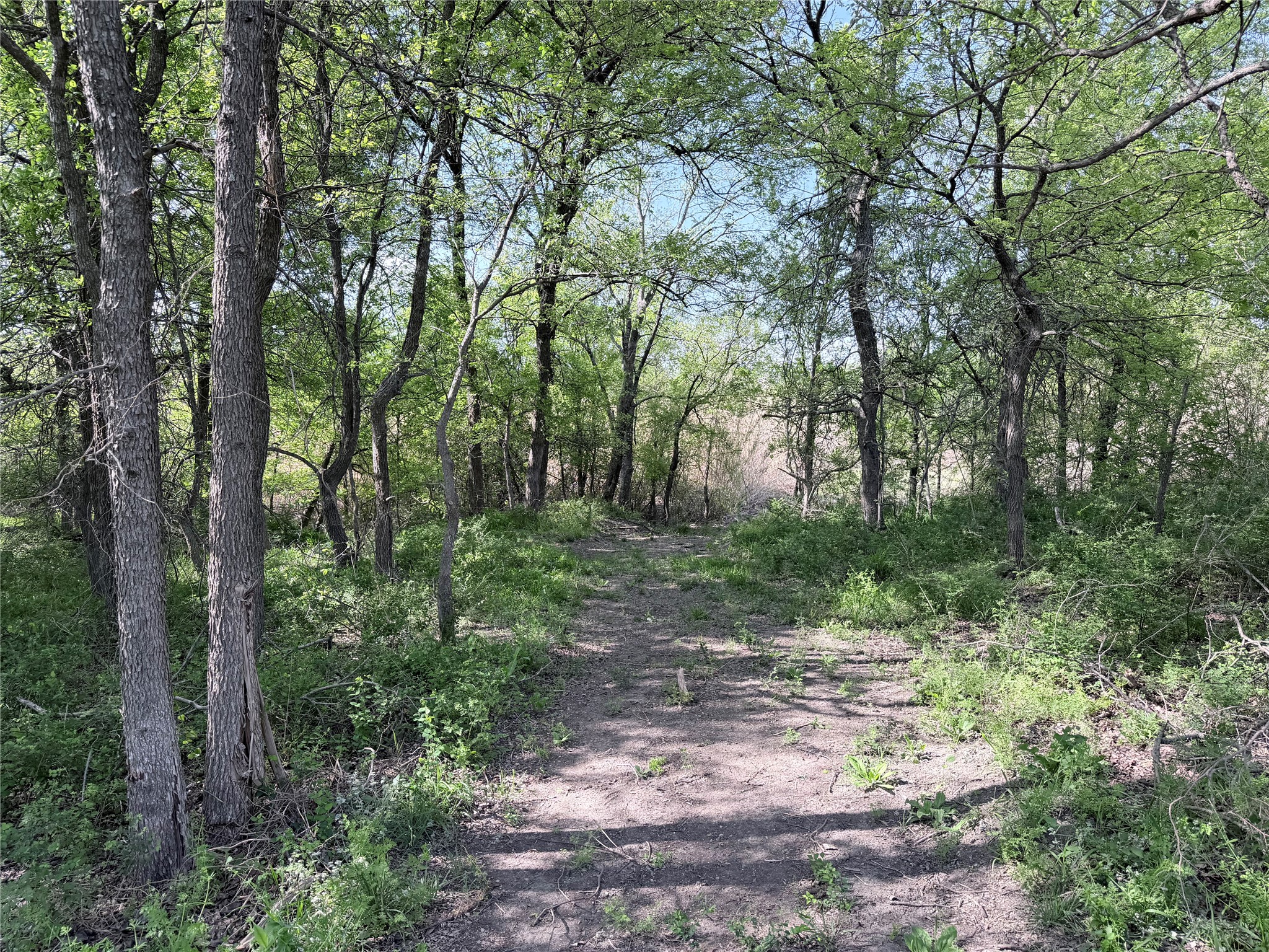 Tbd County Road 3204 Abbott TX 76621