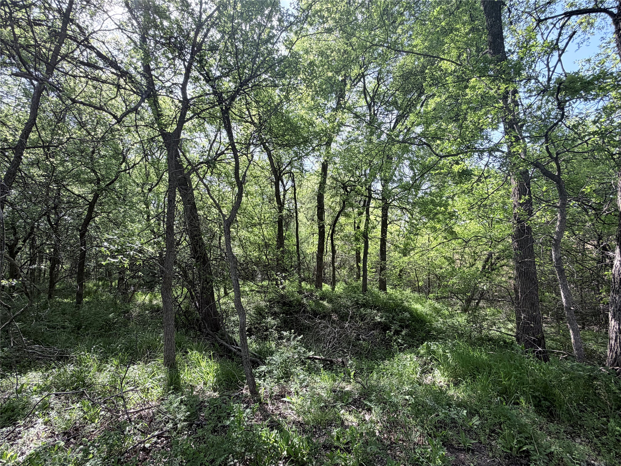 Tbd County Road 3204 Abbott TX 76621