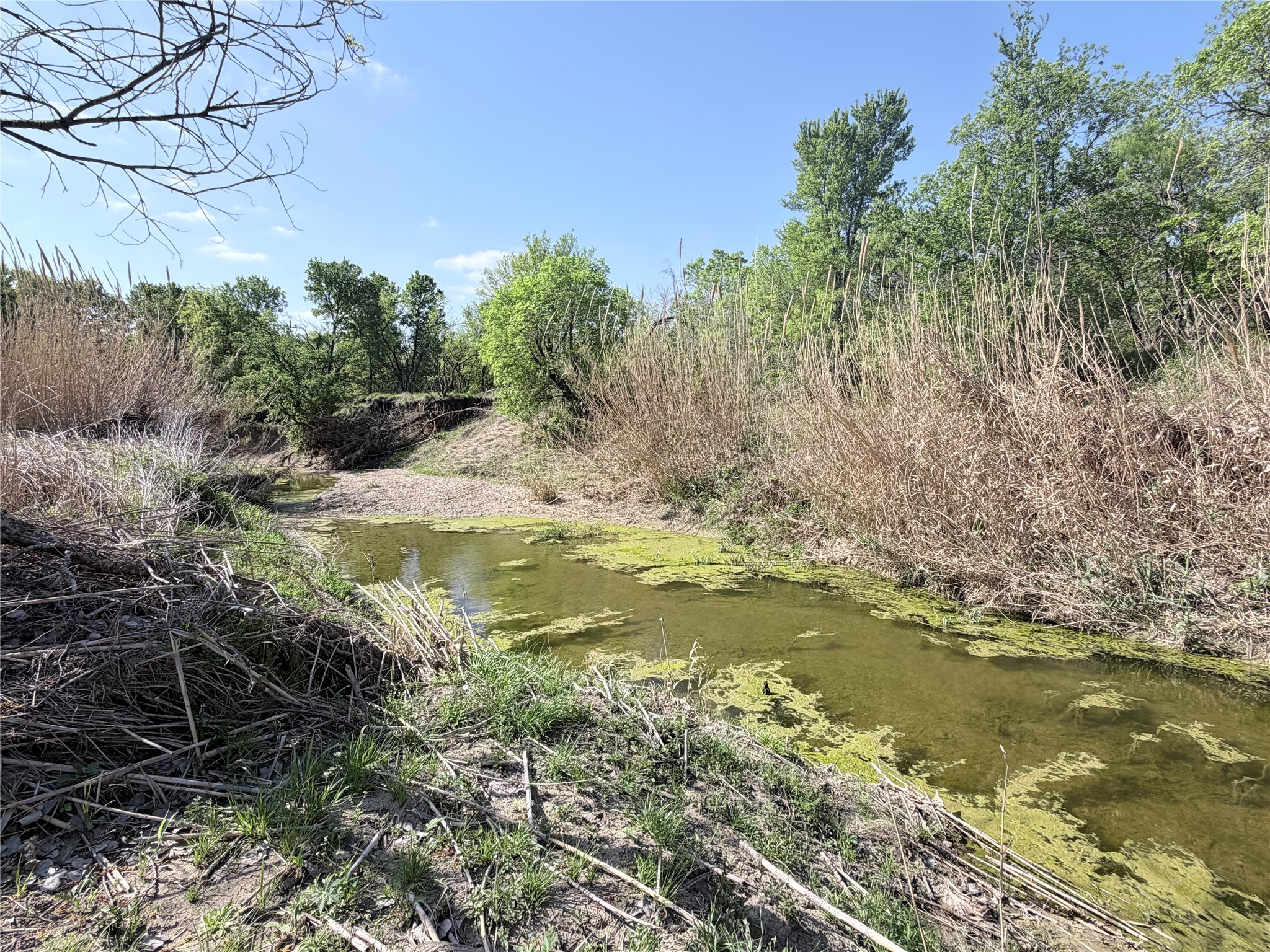Tbd County Road 3204 Abbott TX 76621