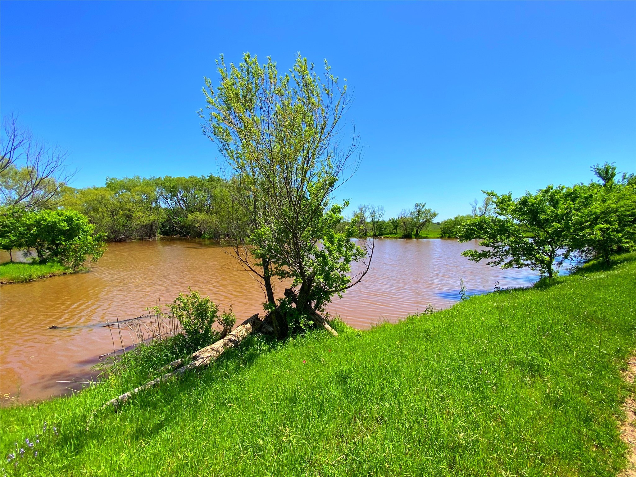 2683 N Highway 81 Bowie TX 76230