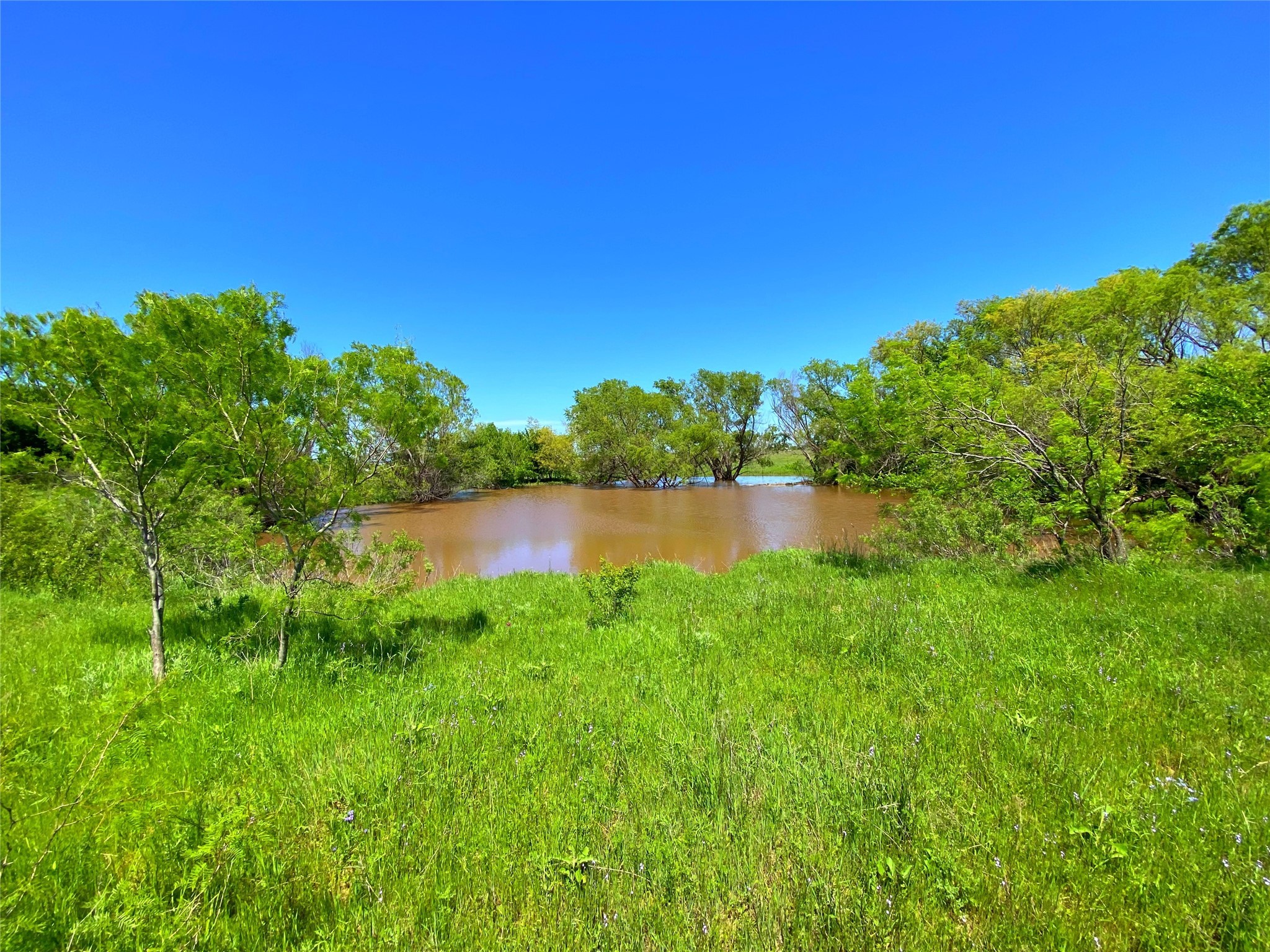 2683 N Highway 81 Bowie TX 76230