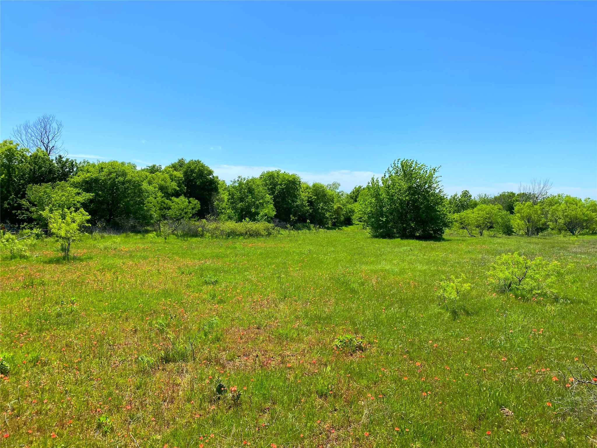 2683 N Highway 81 Bowie TX 76230