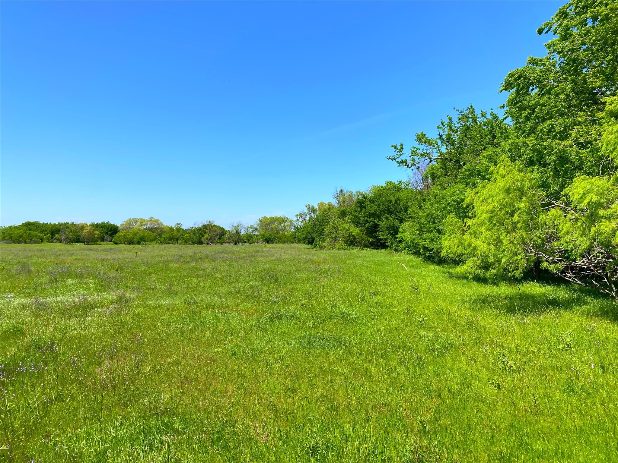 2683 N Highway 81 Bowie TX 76230