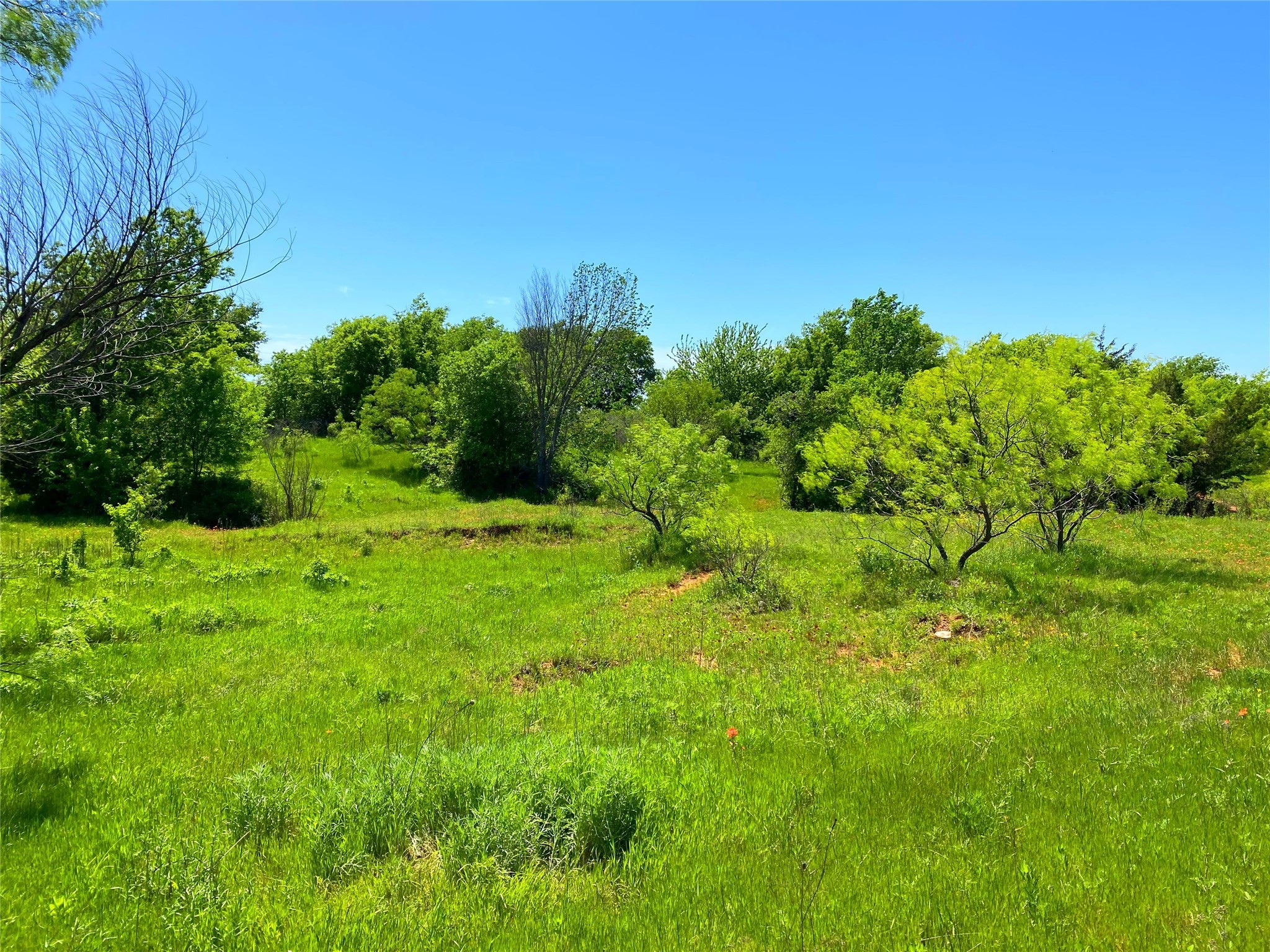 2683 N Highway 81 Bowie TX 76230