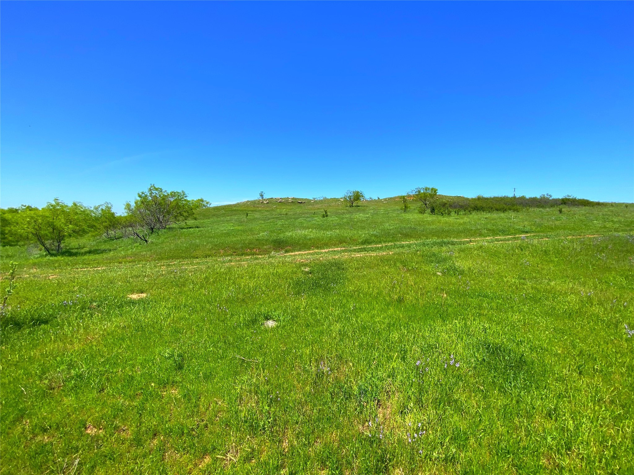 2683 N Highway 81 Bowie TX 76230